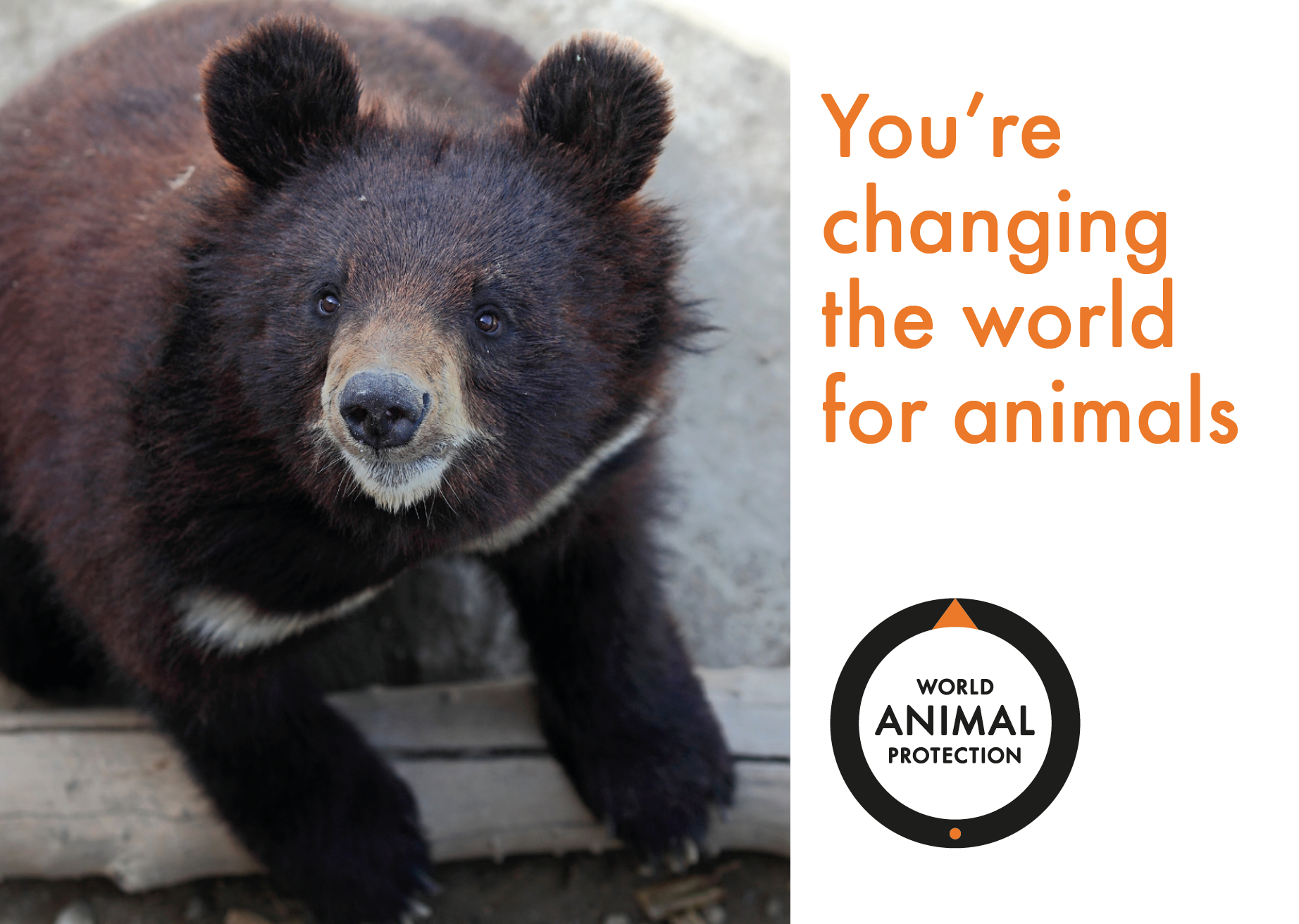 World Animal Protection