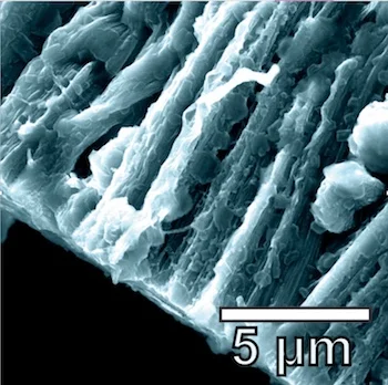 Graphene-nanotube hybrid boosts lithium metal batteries