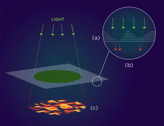 (a) At monolayer thickness, this material has the optical properties of a semiconductor that emits light. At multilayer, the properties change and the material doesn’t emit light. (b) Varying the thickness of each layer results in a thin film speckled with randomly occurring regions that alternately emit or block light. (c) Upon exposure to light, this pattern can be translated into a one-of-a-kind authentication key that could secure hardware components at minimal cost.(Image: Althea Labre, NYU Tandon)