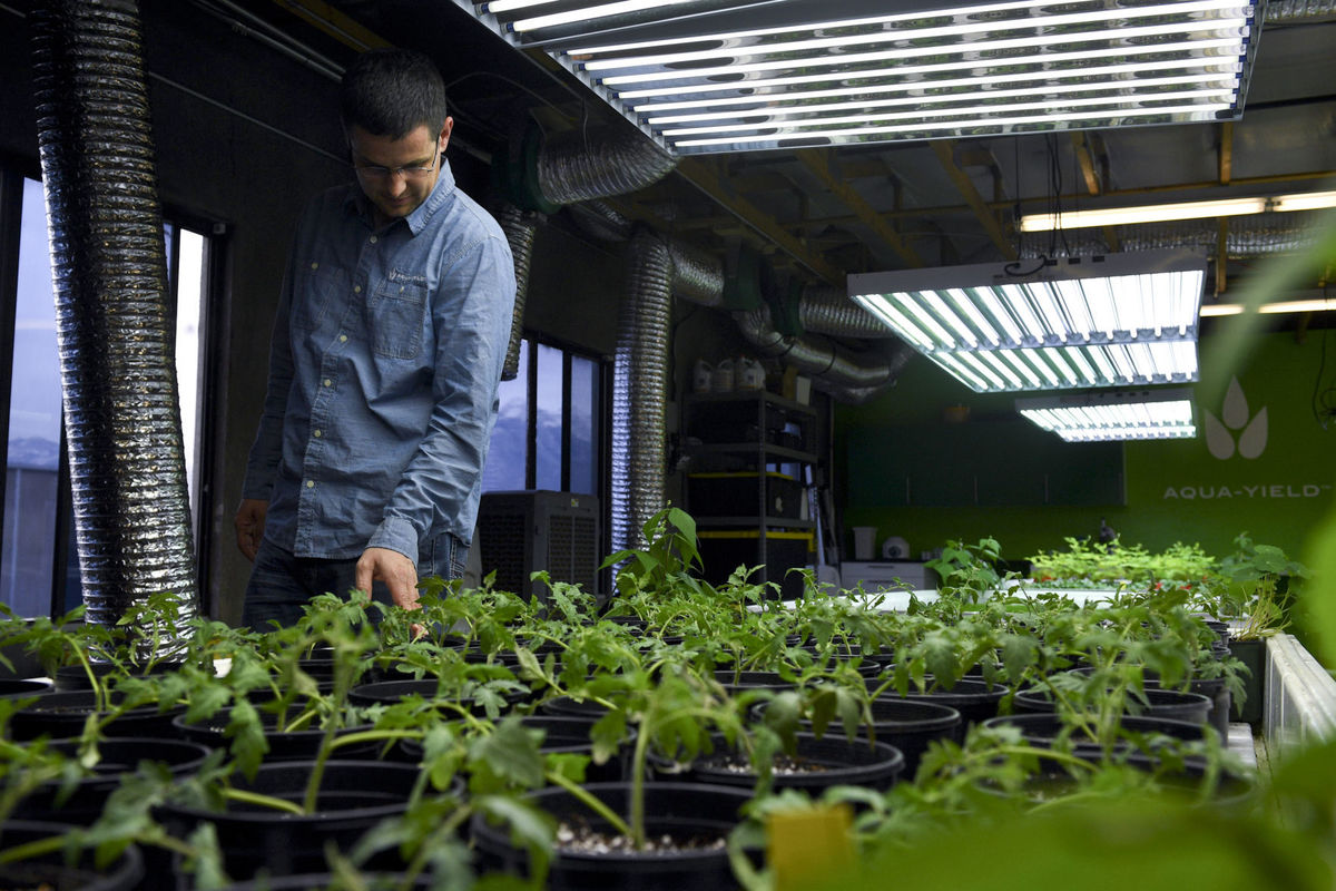 Nanotechnology spurs agricultural business toward better harvests