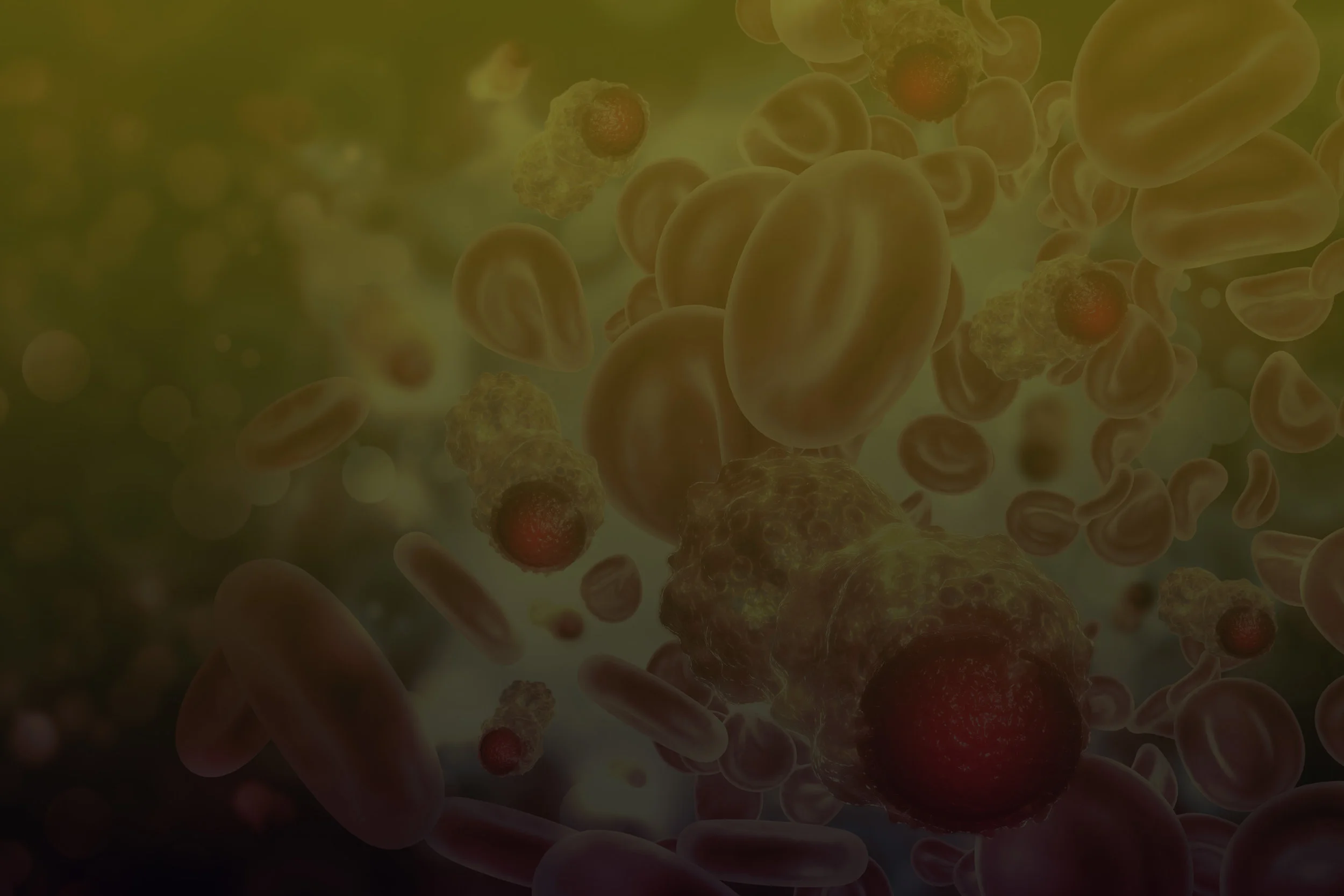 Synthetic macromolecules kill multidrugresistant cancer cells — Nano