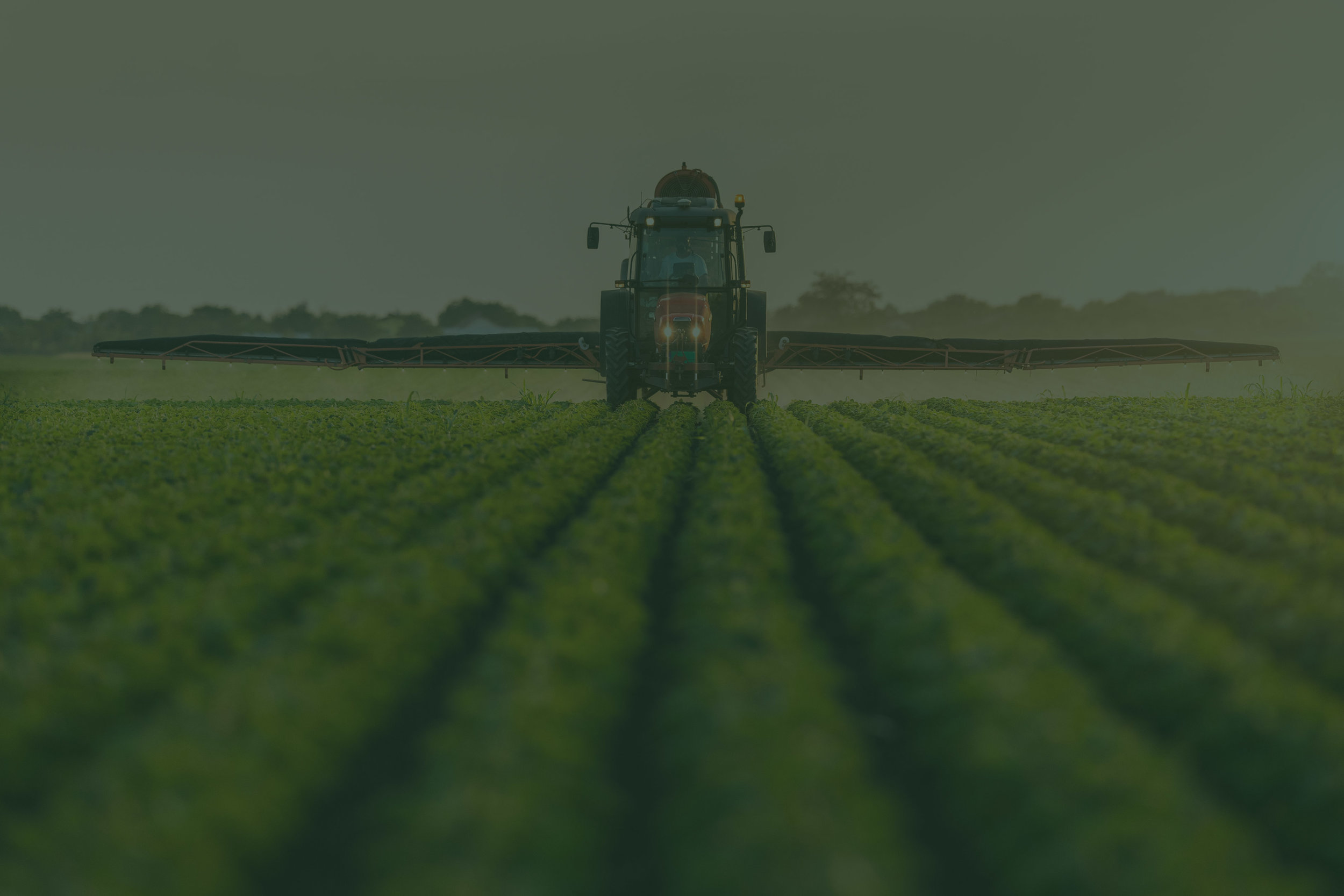 Nanoparticle fertilisers show promise