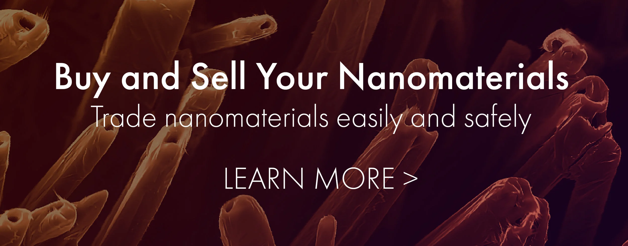 Nano Ex 2.jpg