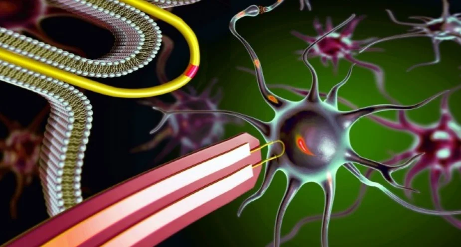 Scalable nanoprobes could bring ‘cyborgs to reality’