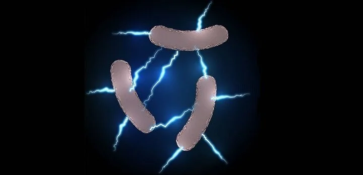 Bionic catalysts to produce clean energy