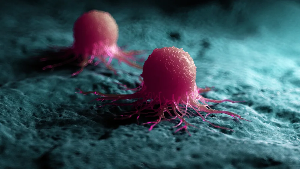 Nonviral gene therapy to speed up cancer research