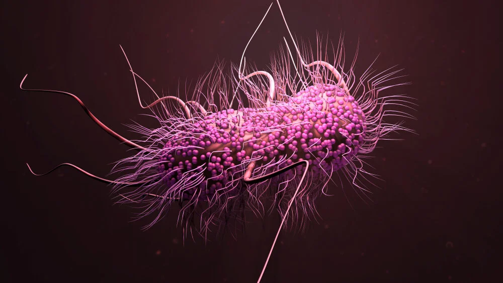 Superbug killer: New nanotech destroys bacteria and fungal cells