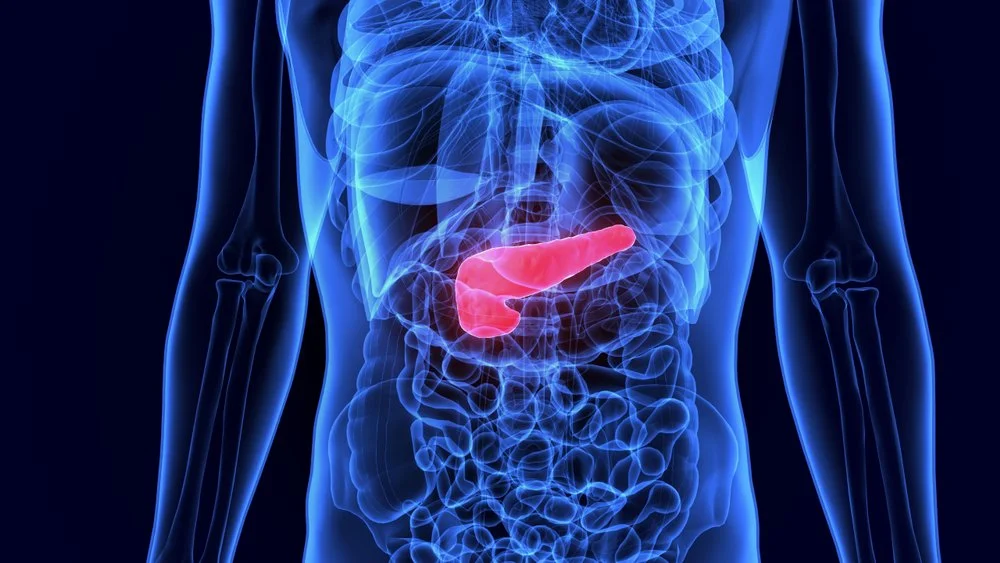 Lipid nanoparticles engineered to specifically target pancreas in mouse model