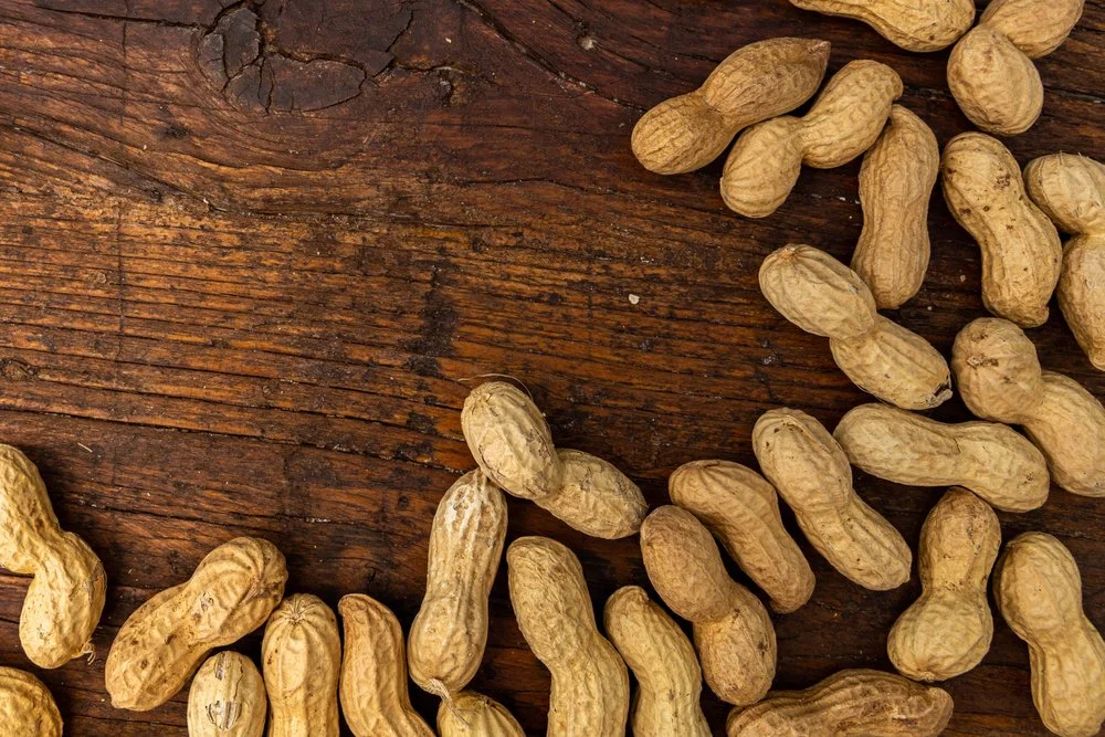 Nanoparticle with mRNA appears to prevent, treat peanut allergies in mice