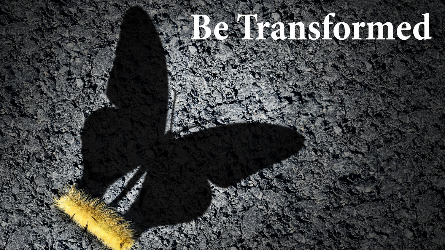 Be Transformed â Bridge of Hope