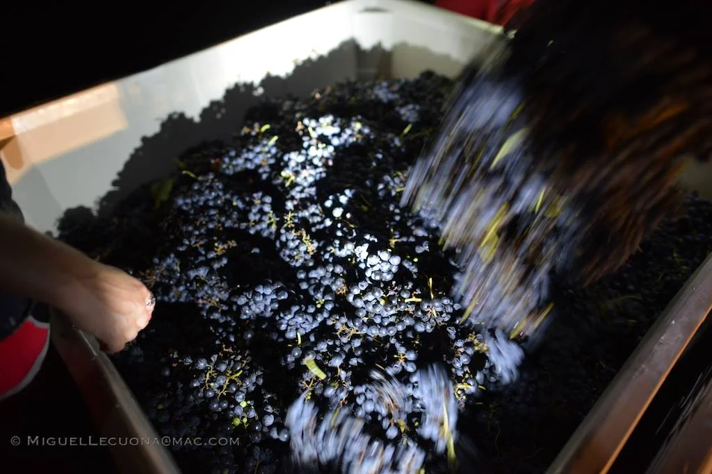 grapes.jpg