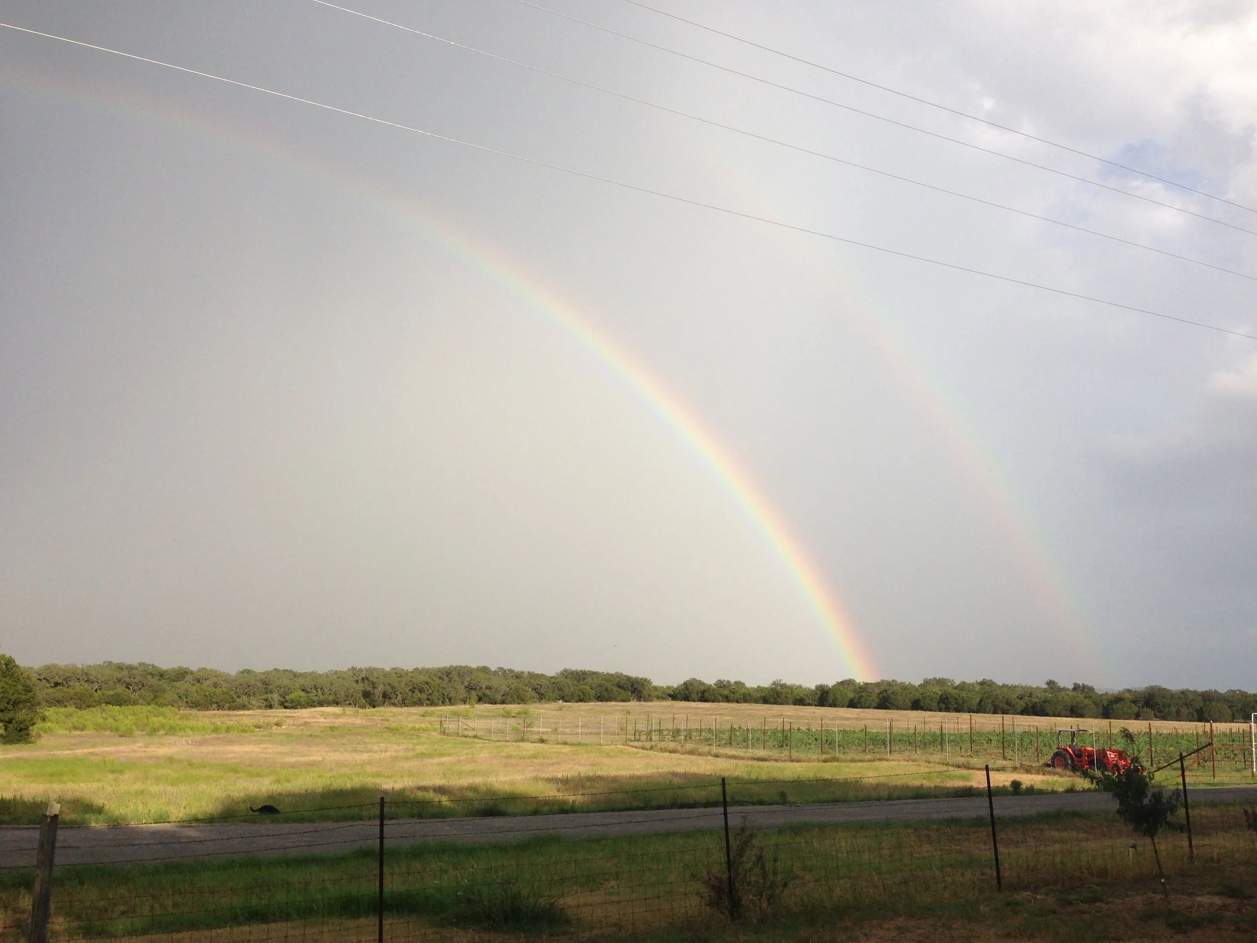 Photo Aug 29, 6 42 50 PM.jpg