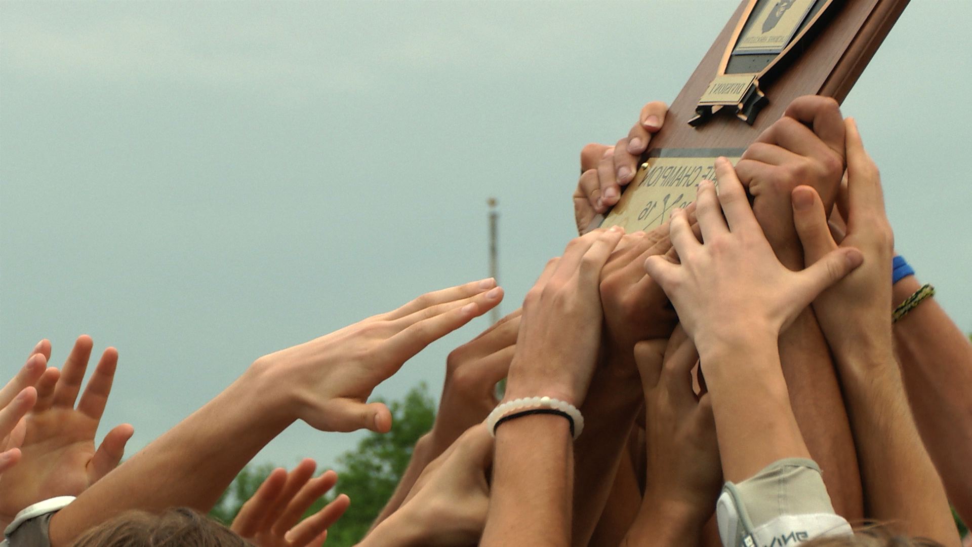 Who needs Videography Services