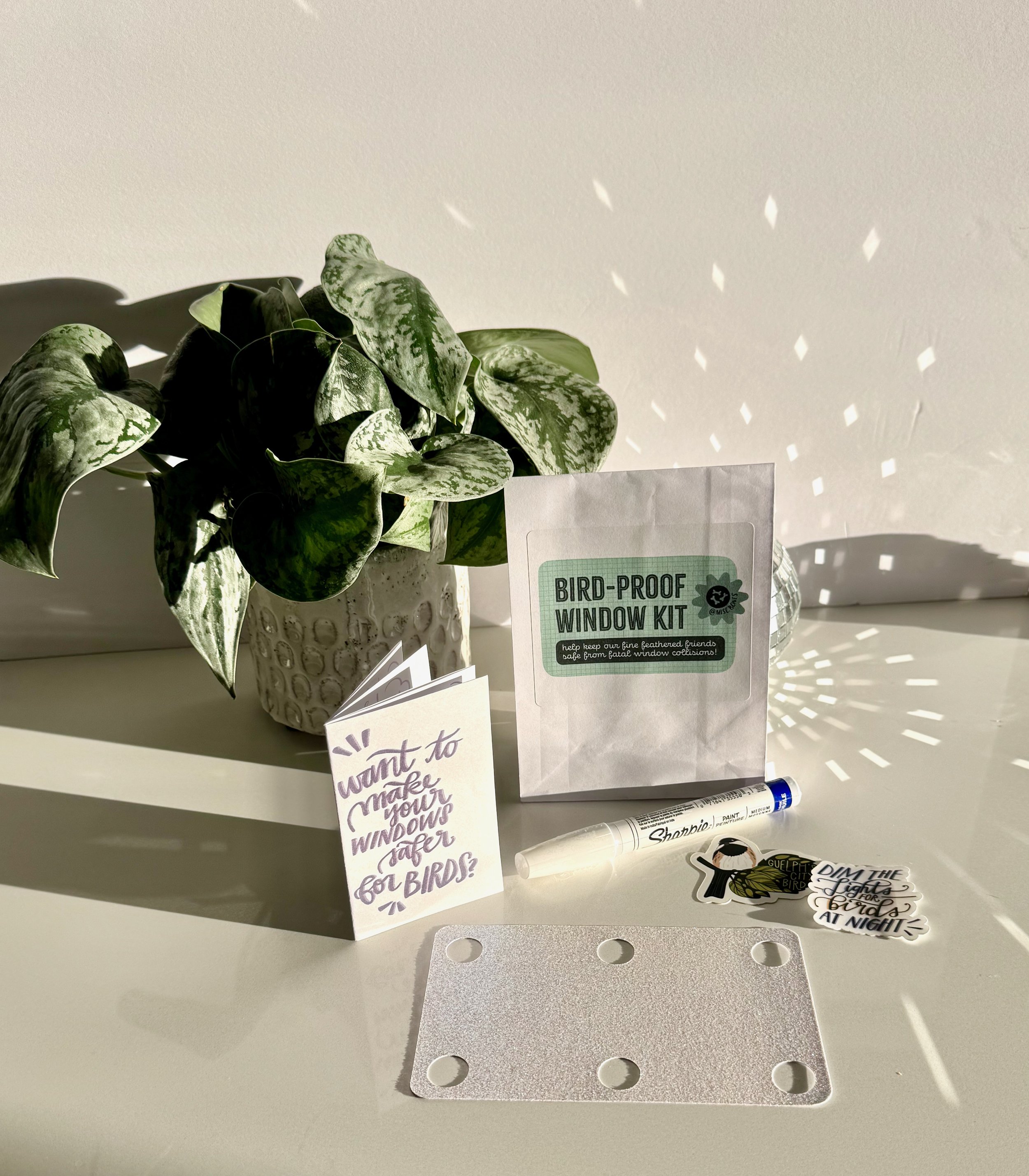 Window Covering Bird Protection Bird-Proof Window Kit — Shelby Bohn