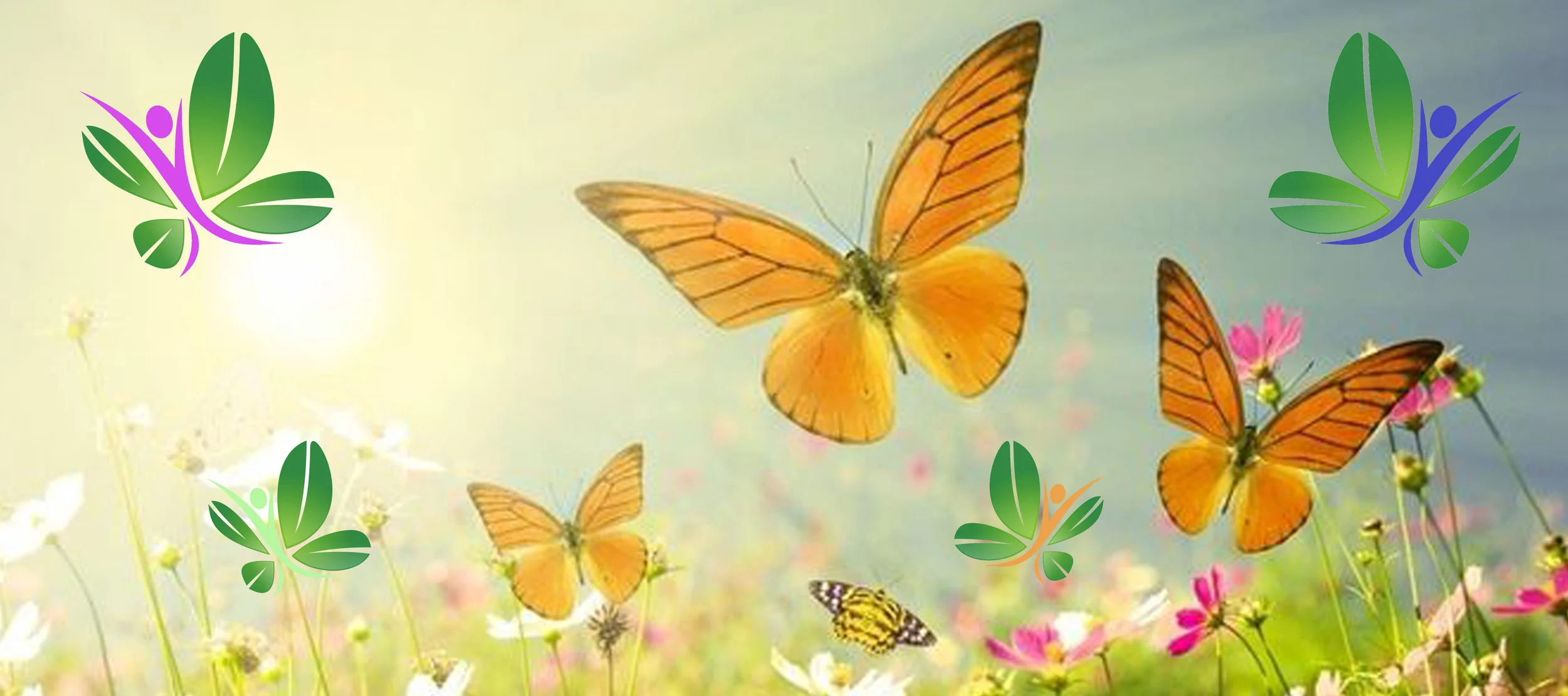 butterflies.jpg
