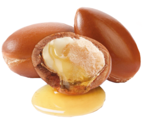 argan-nut.png