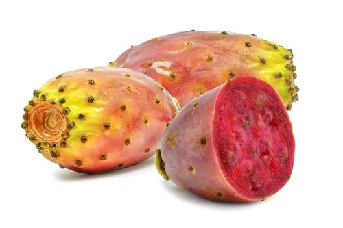 prickley+pear.jpg