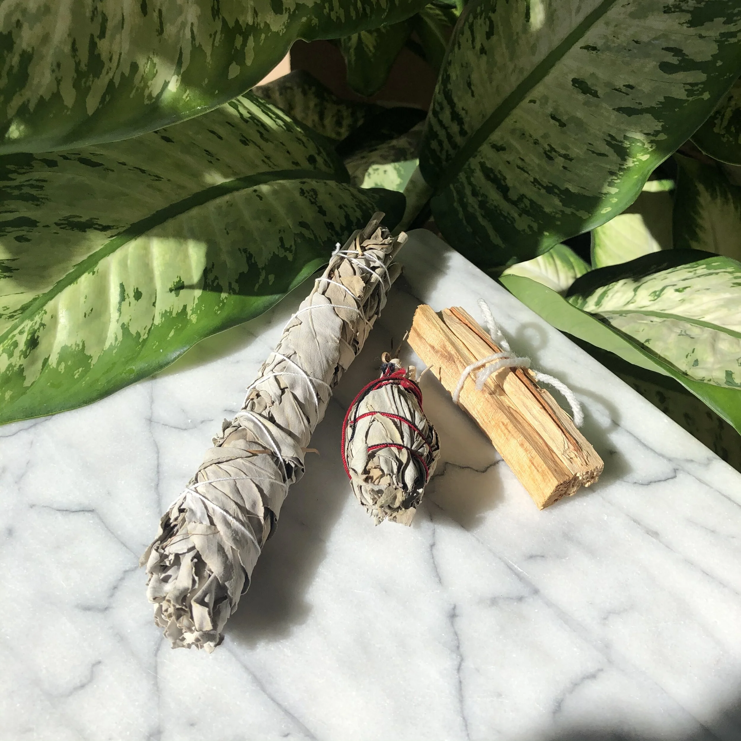 9EC34449-0A52-498F-AB03-51A25B005994