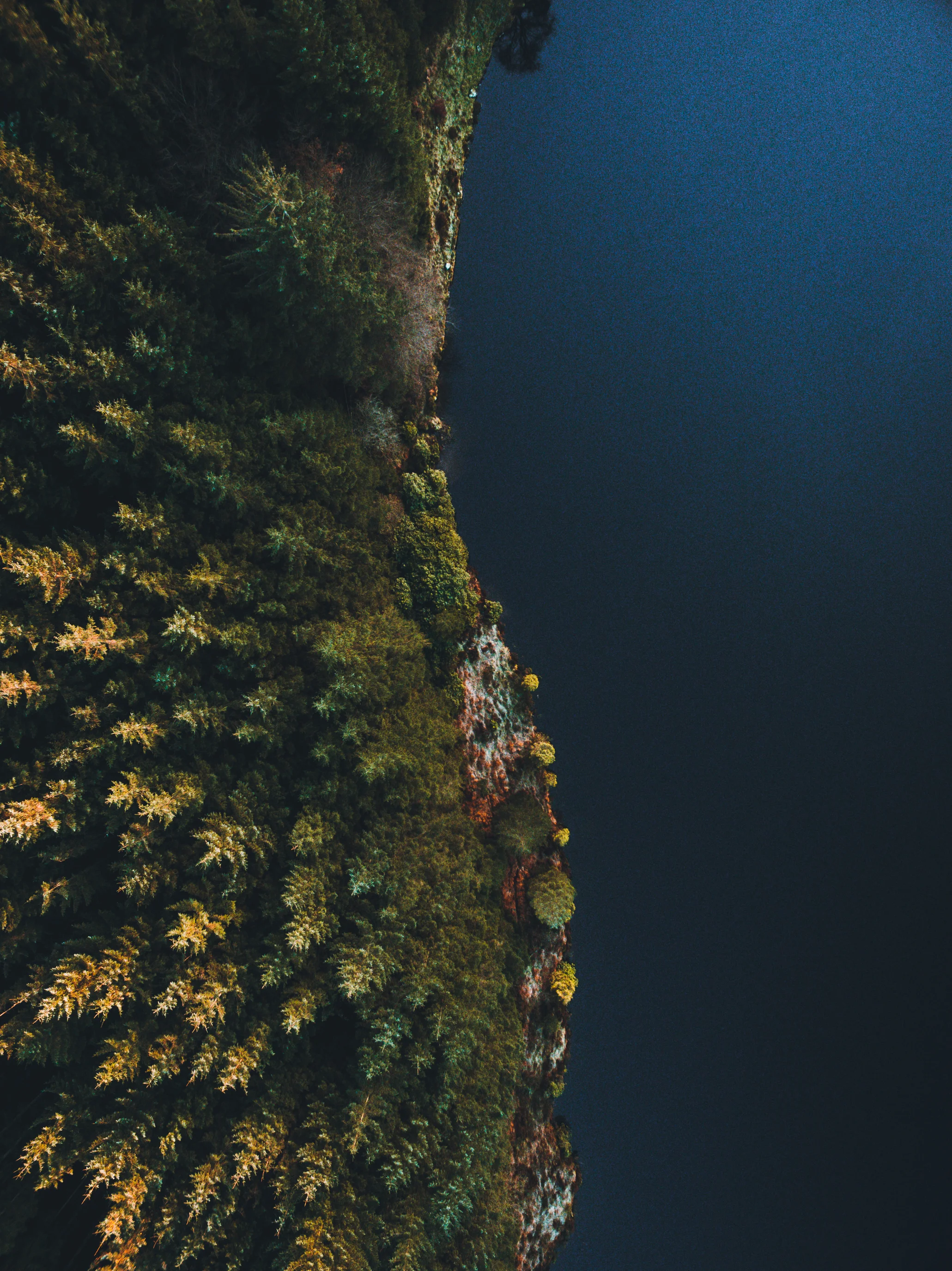 DJI_0081.jpg