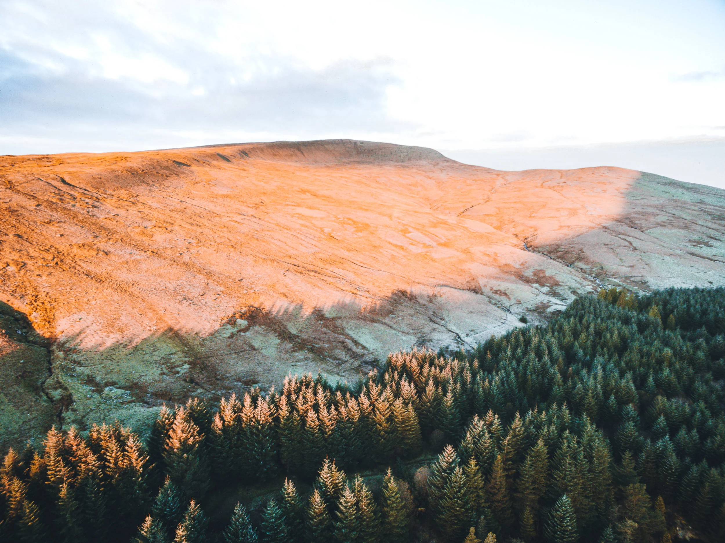 DJI_0084.jpg