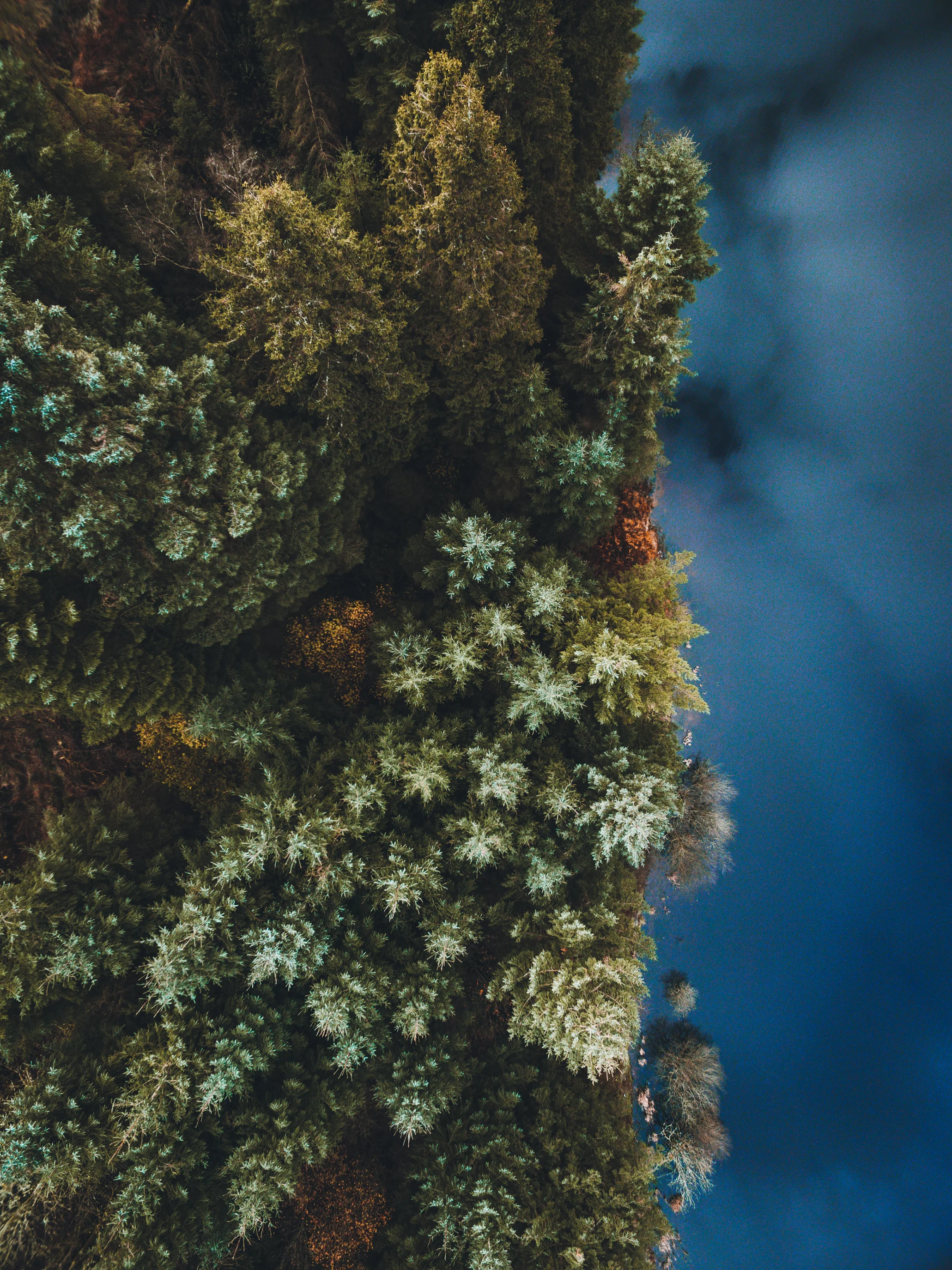 DJI_0165.jpg