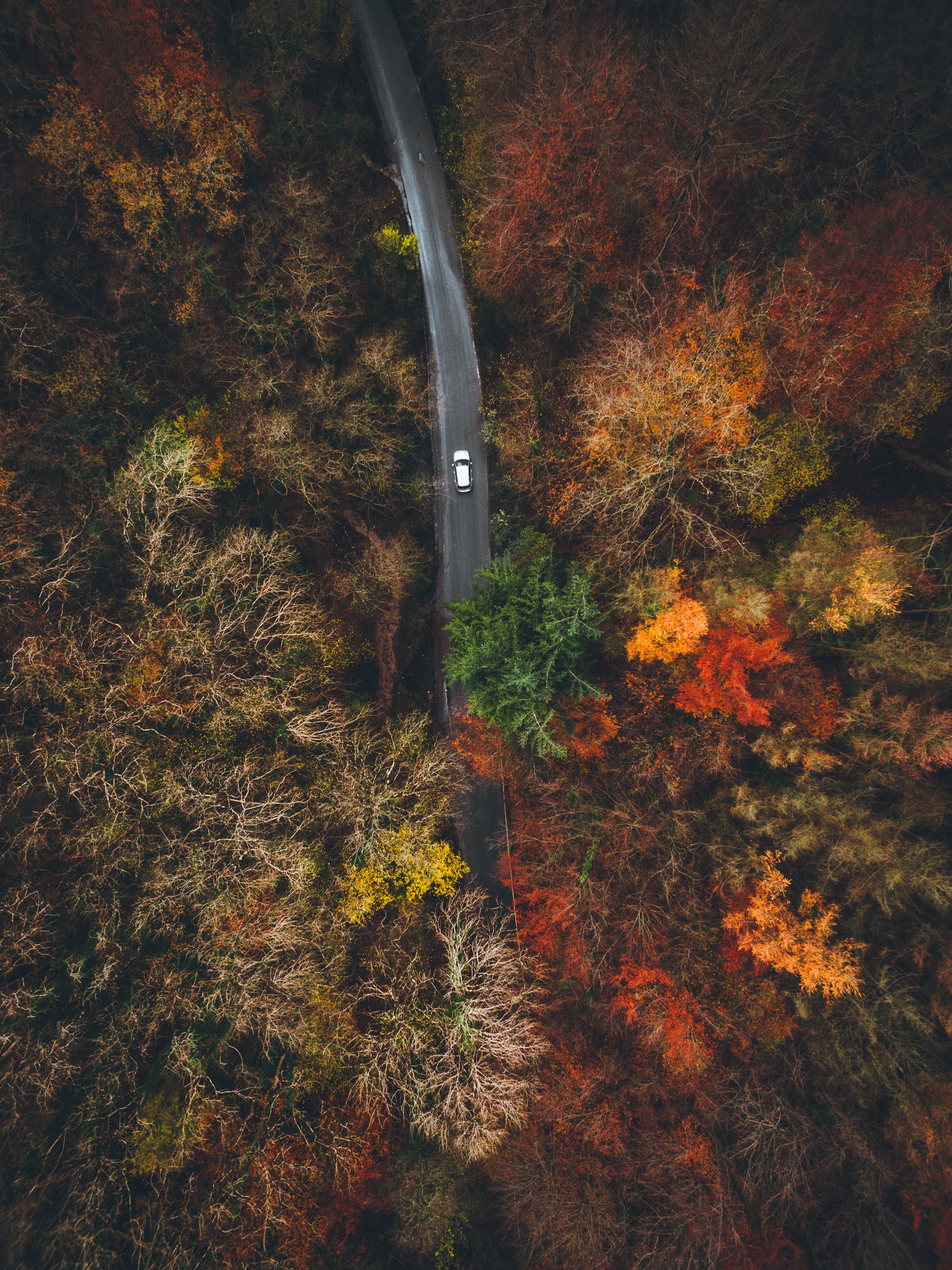 DJI_0003-2.jpg