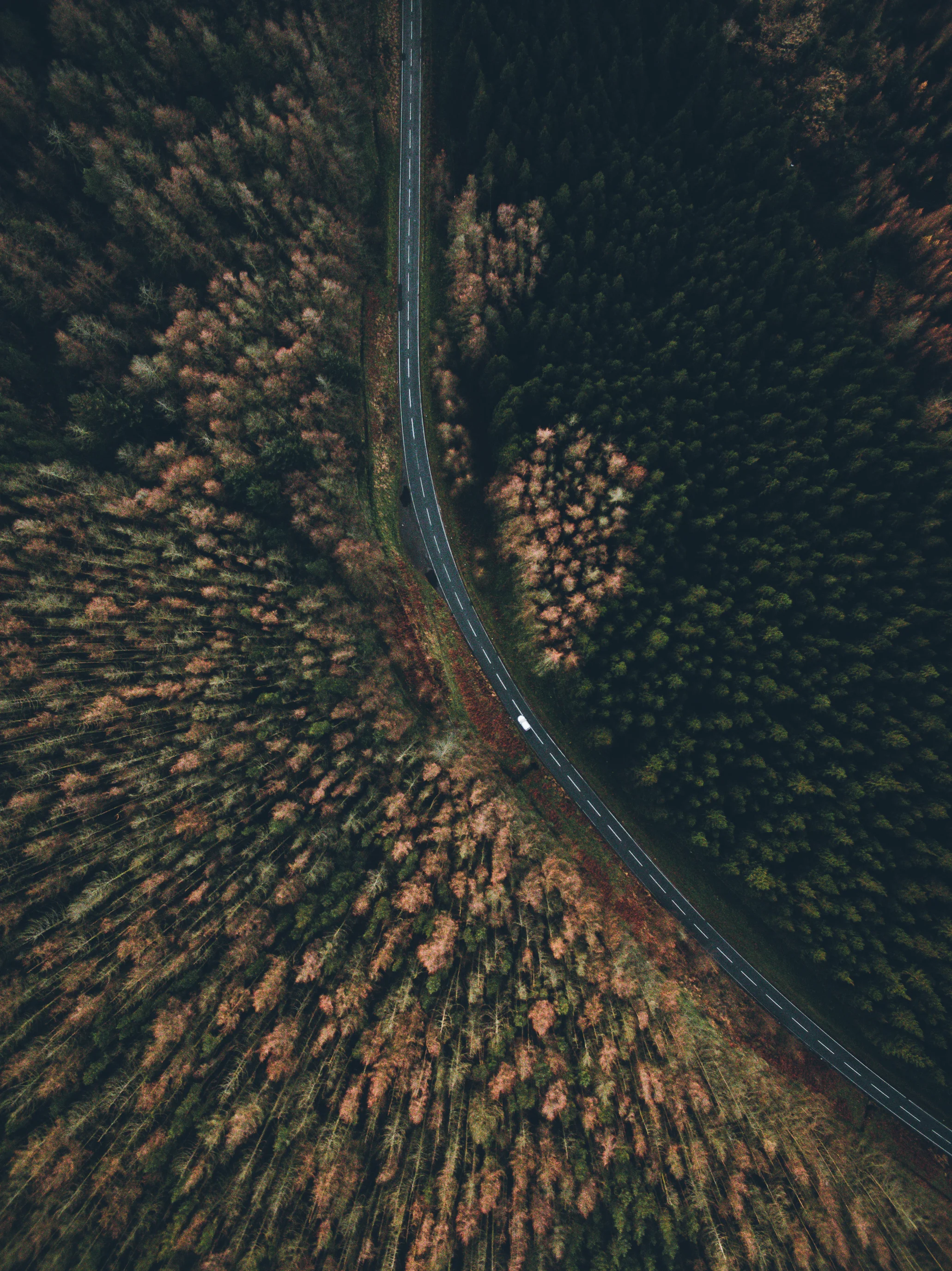 DJI_0100.jpg