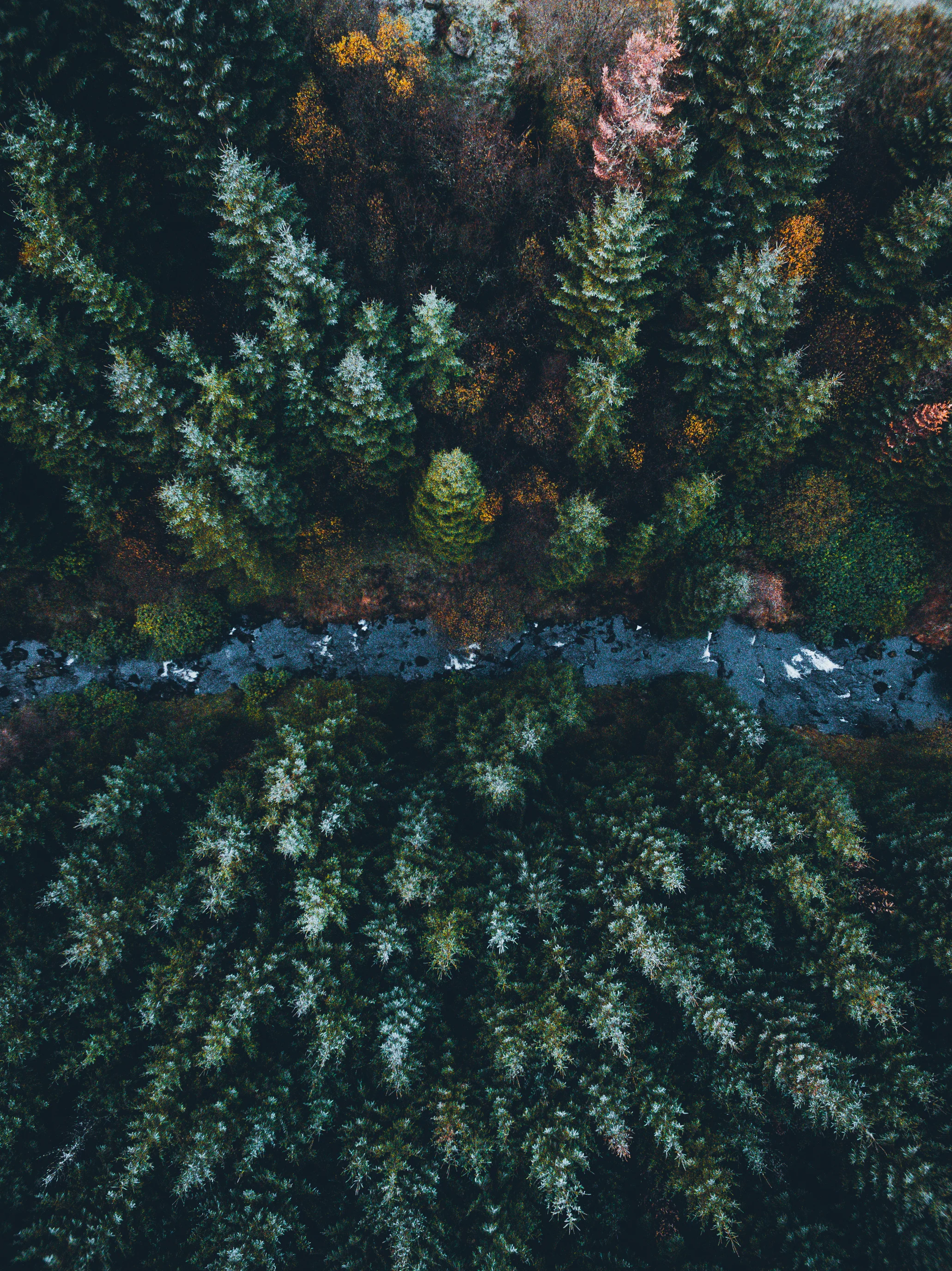 DJI_0040.jpg
