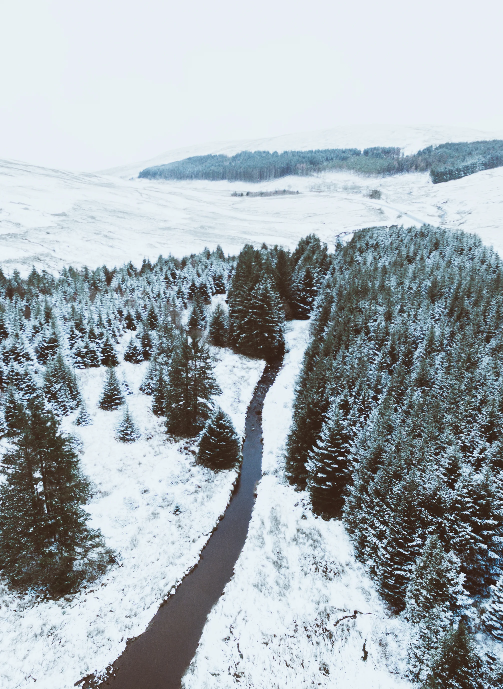 DJI_0248-3.jpg