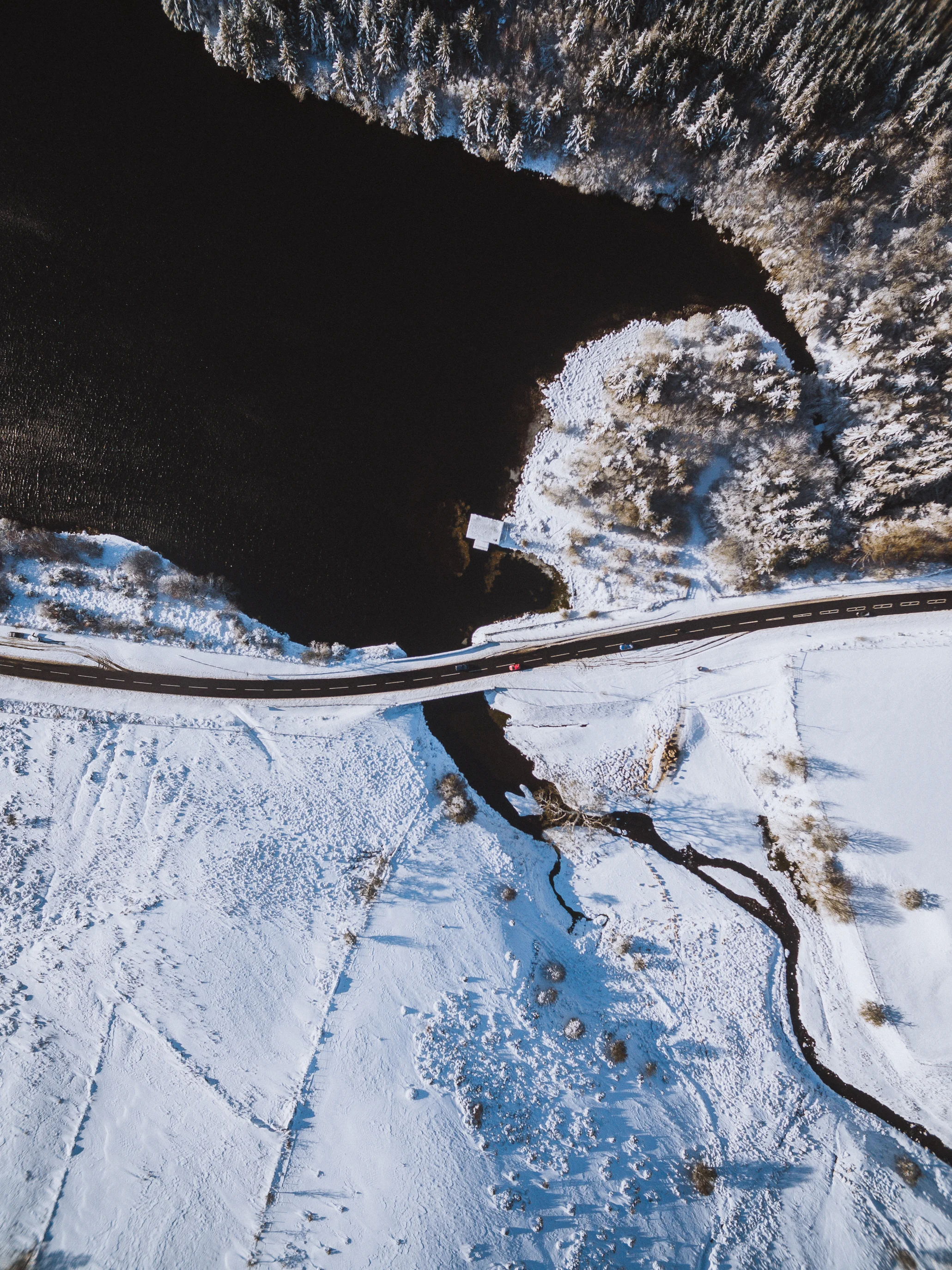 DJI_0193.jpg
