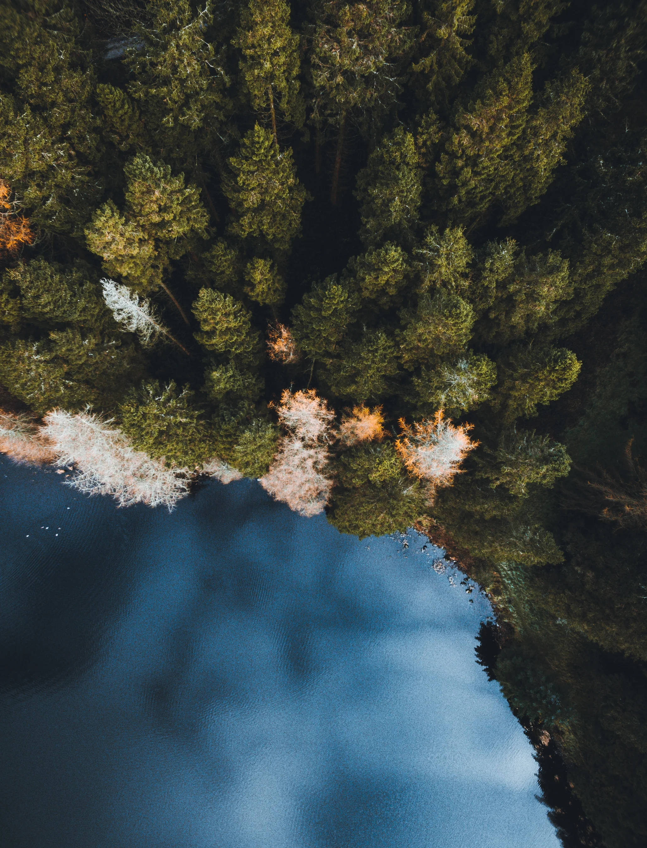 DJI_0144.jpg