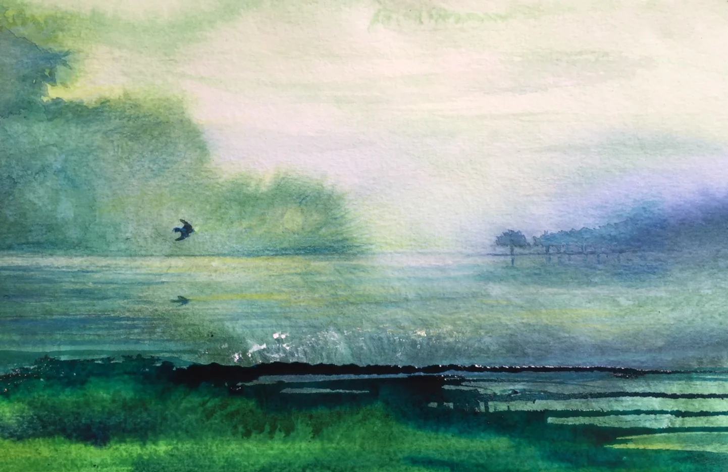 Au long du fleuve 2017
