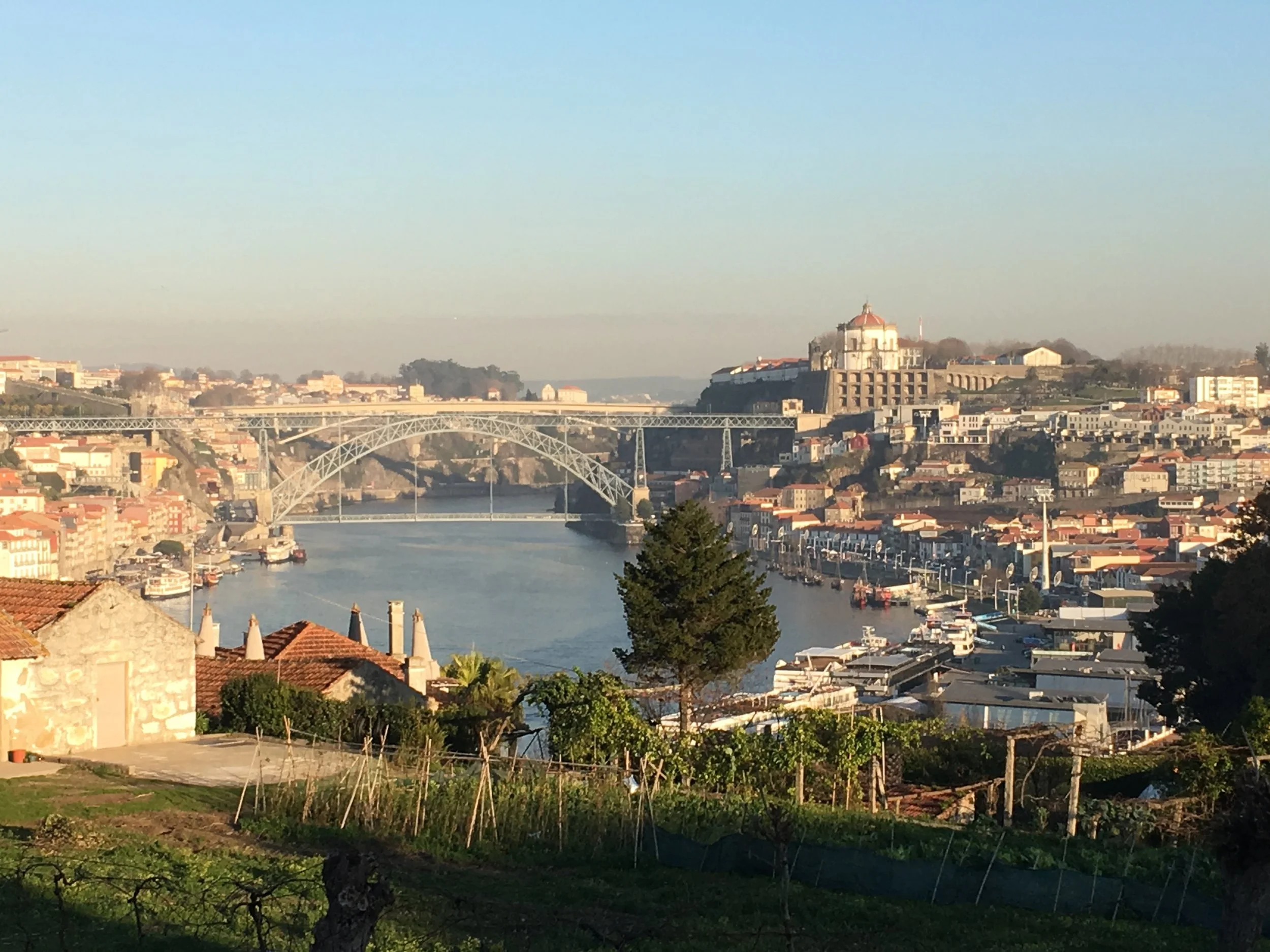 The View from Graham's