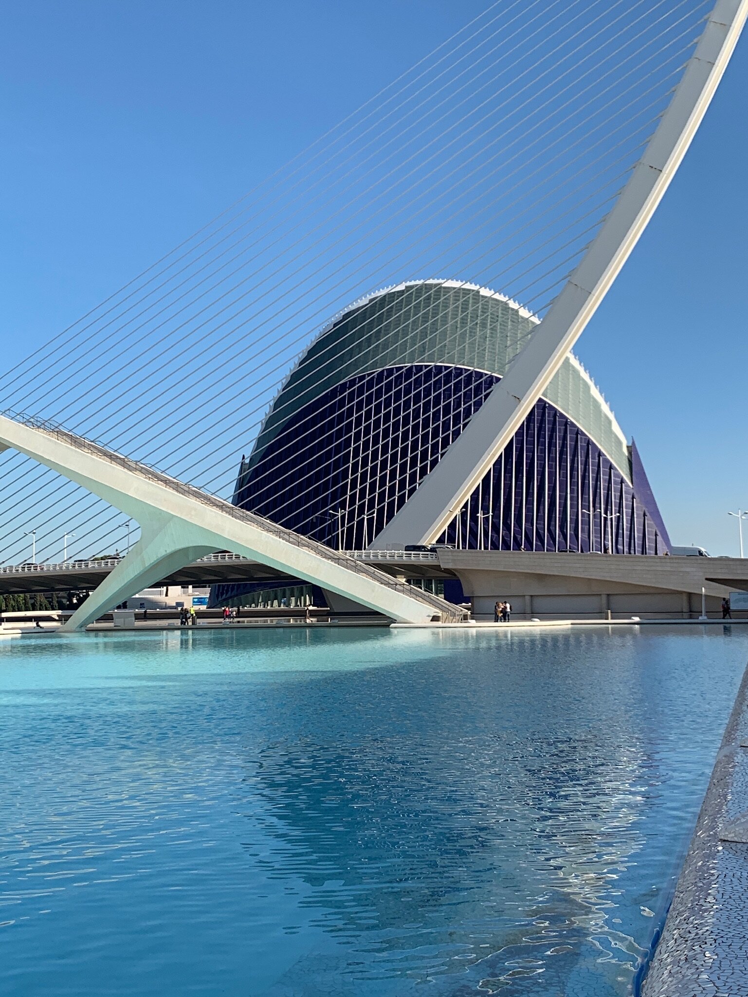 La Ciudad de las Artes y las Ciencias