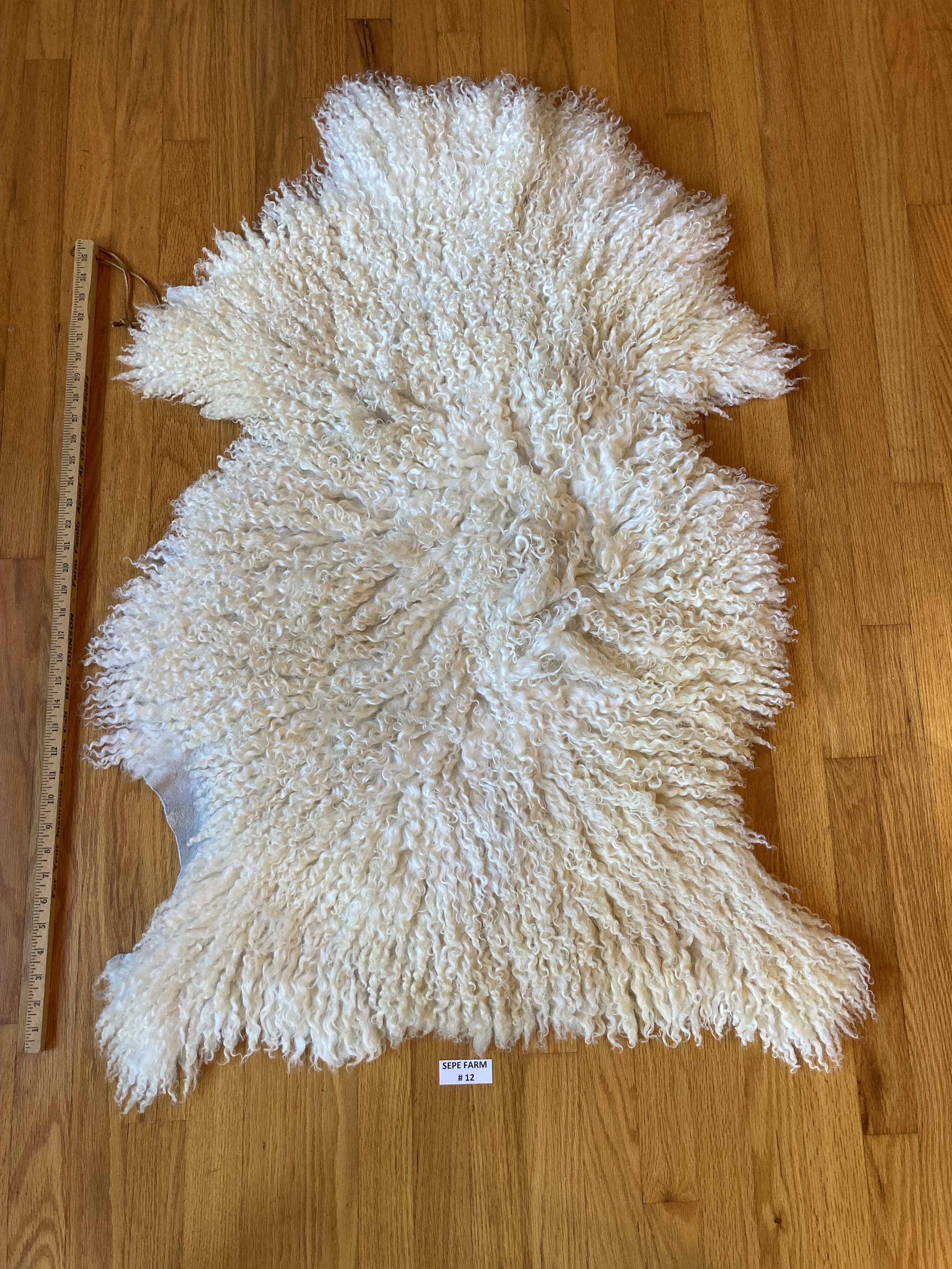 Sheepskin 12