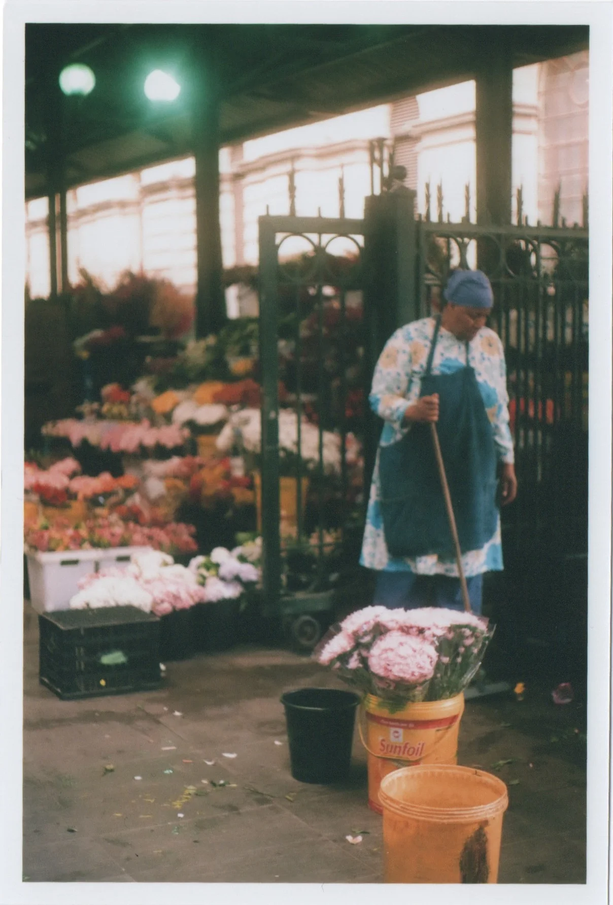 Scan 67.jpeg