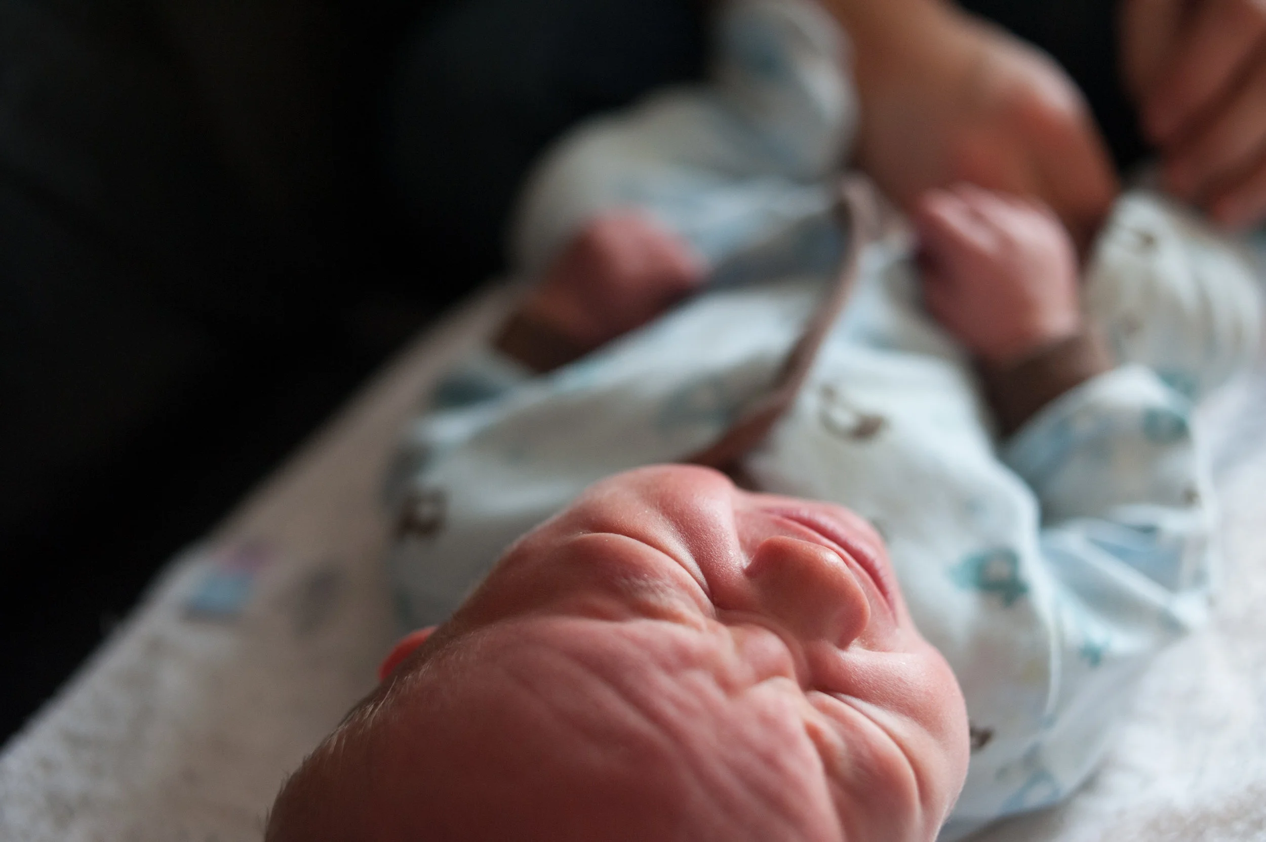 Edmonton Baby Photographer.1.jpg