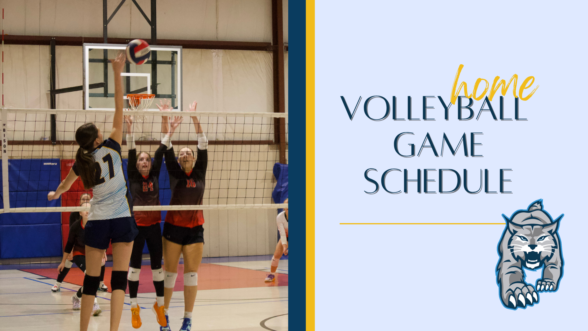 Home Volleyball Games