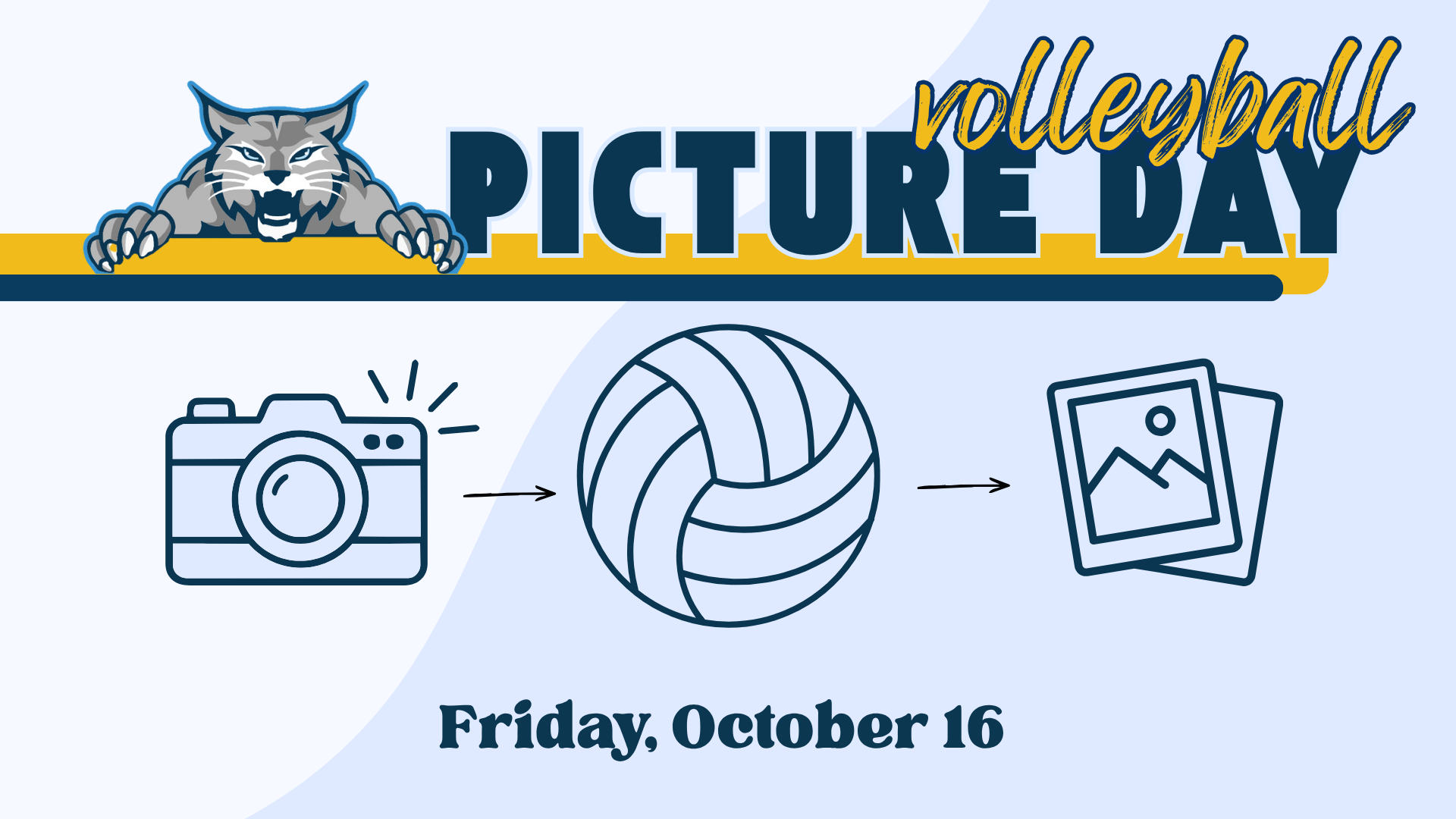 Volleyball Pictures