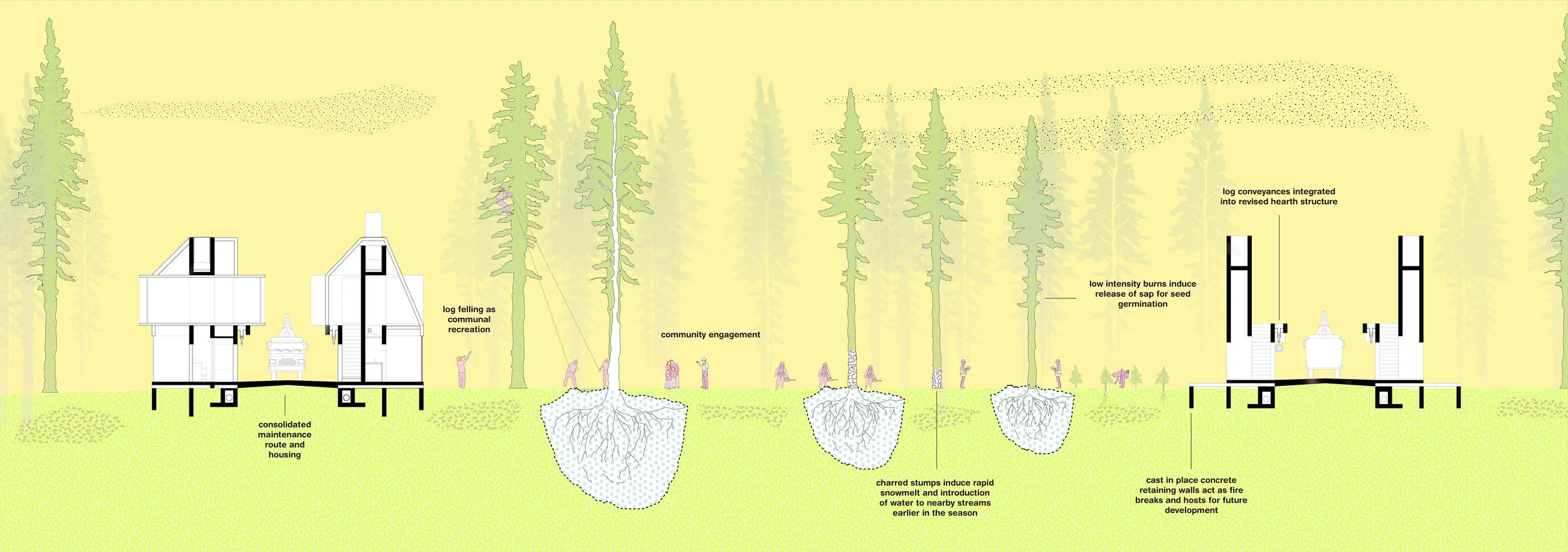 Successional forest and maintenance route integration.