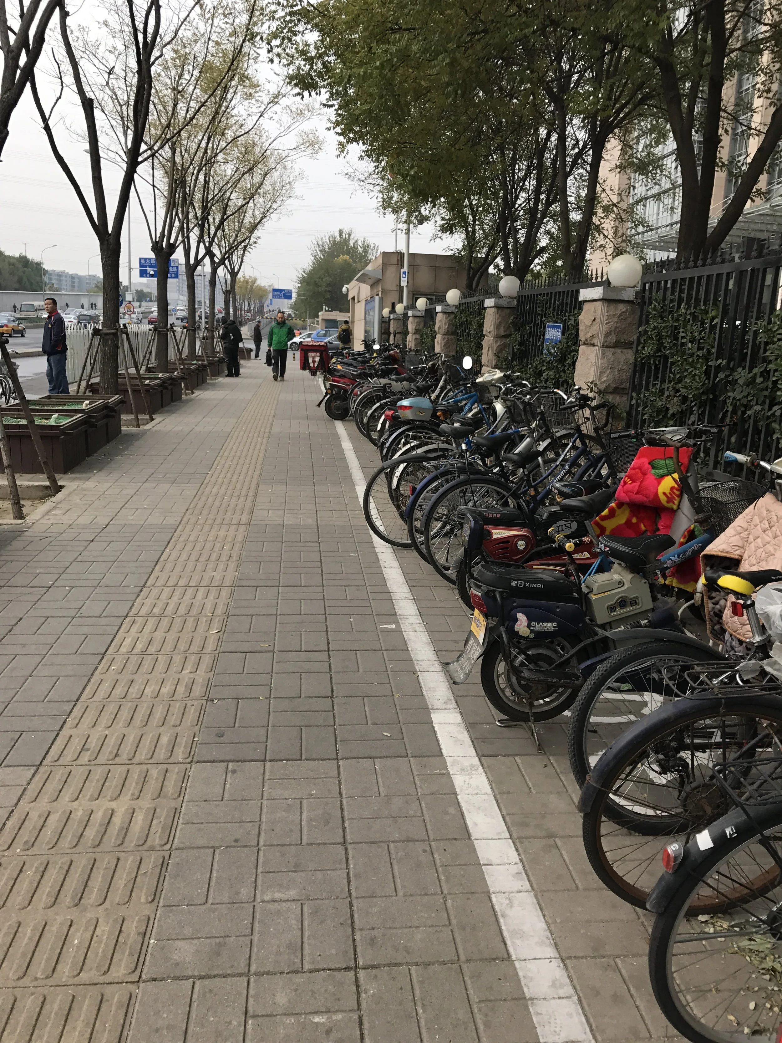Despite the chaos of traffic, there's an order to everything here