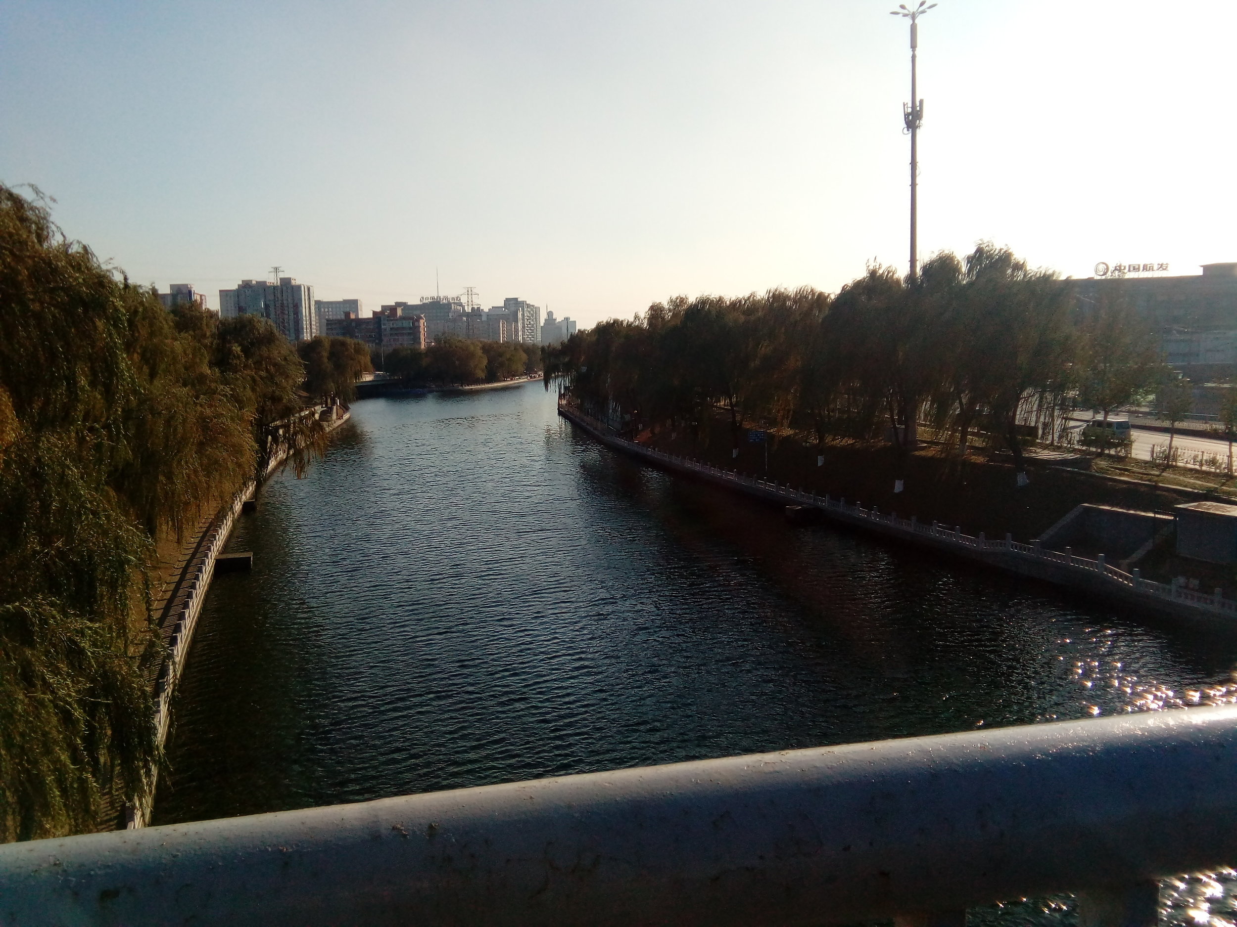 It was sunny, but bitterly cold. I didn't mind. 