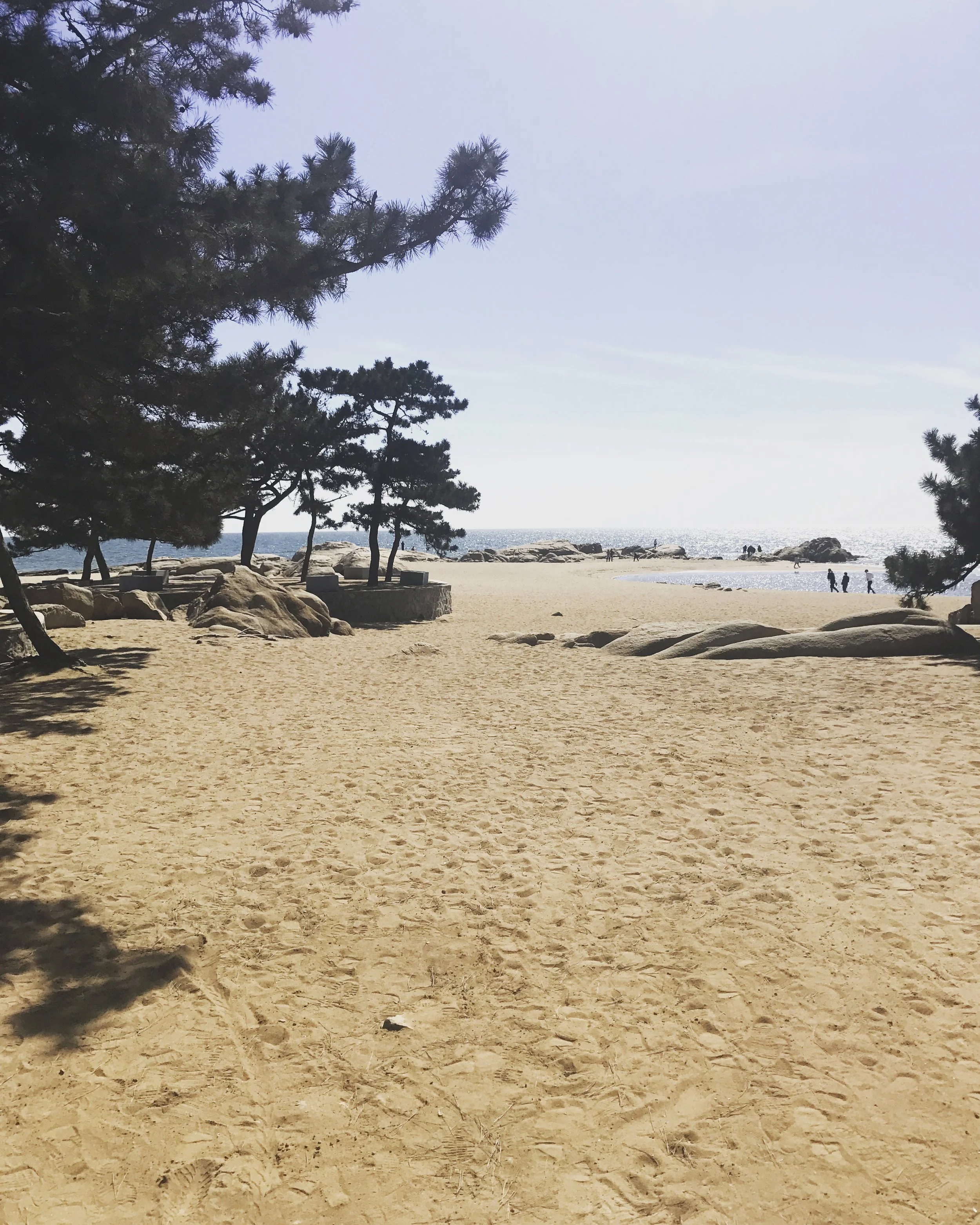 This beach is called Tiger Stone Park because of the huge boulders at the shoreline.