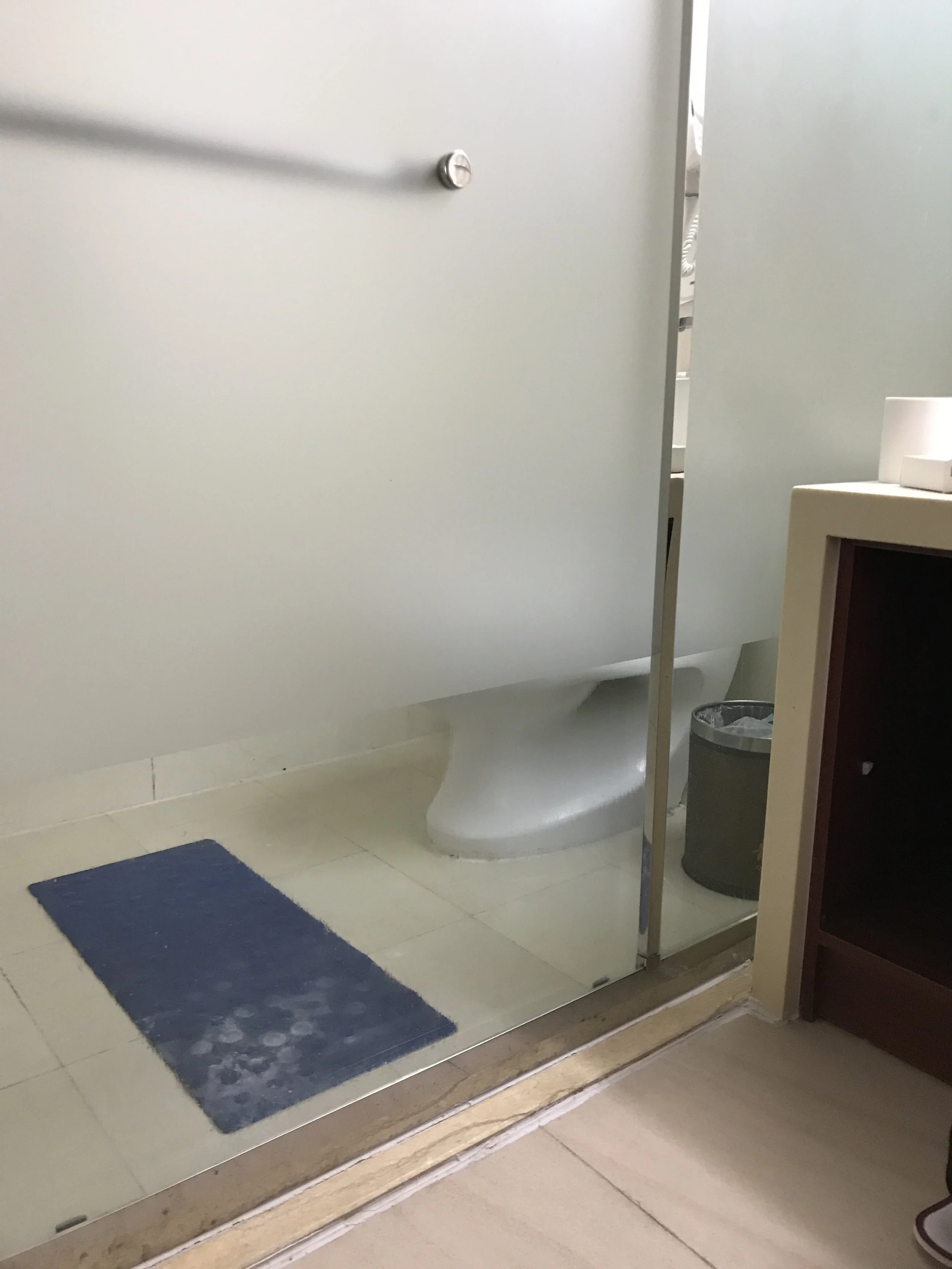 Everything is wrong here. This is the shower and also the toilet, that you can see into. WHY!