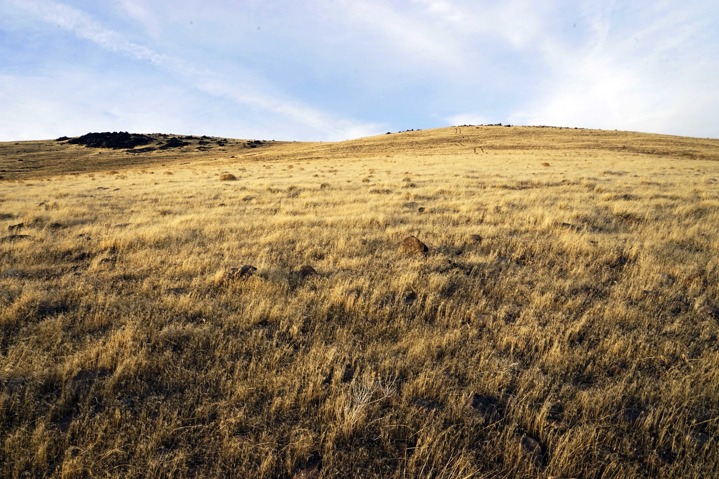 sagebrush mountain canvas backpack