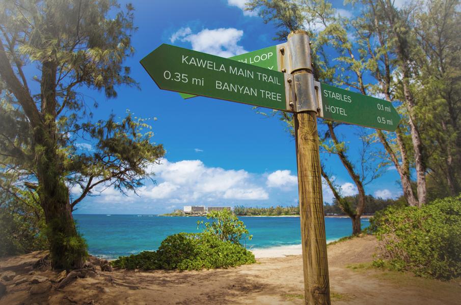 TurtleBayResort_TrailSigns_MC2015_Effect_LoRes.jpg