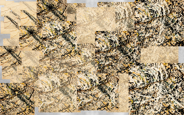 0_2016-Web-Pollock-Image First.jpg
