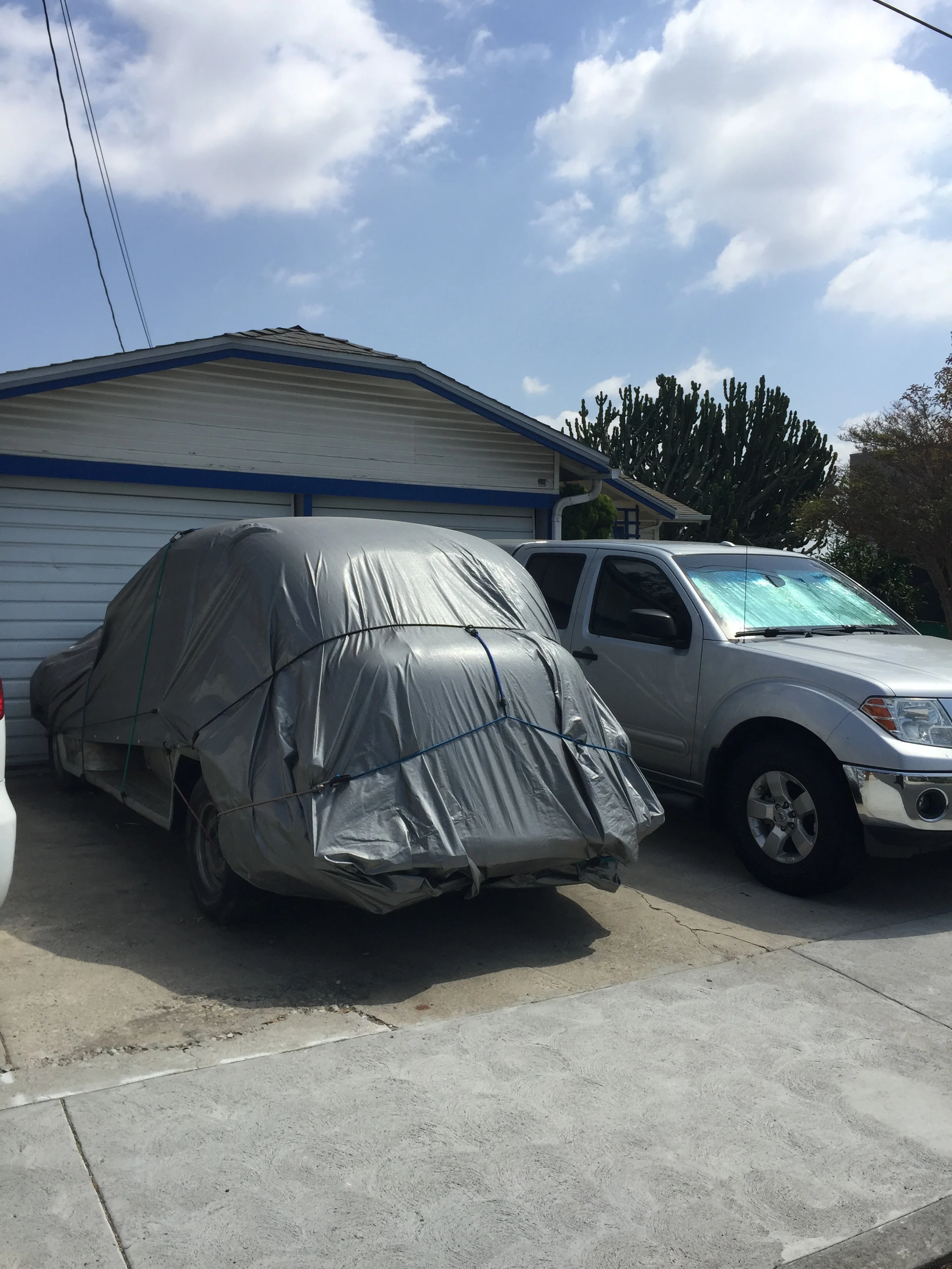 Wrap 103