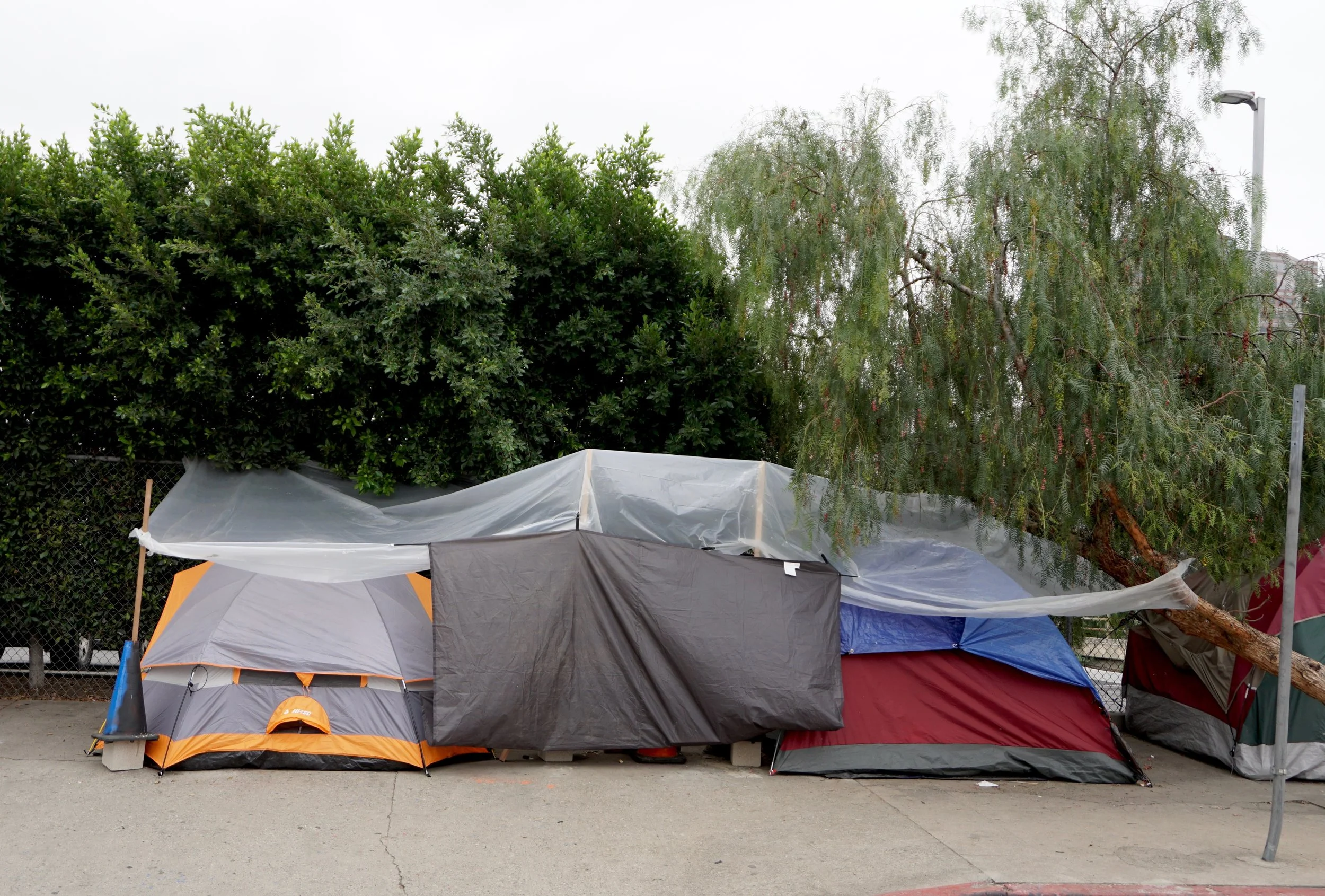 Tarp Life 124