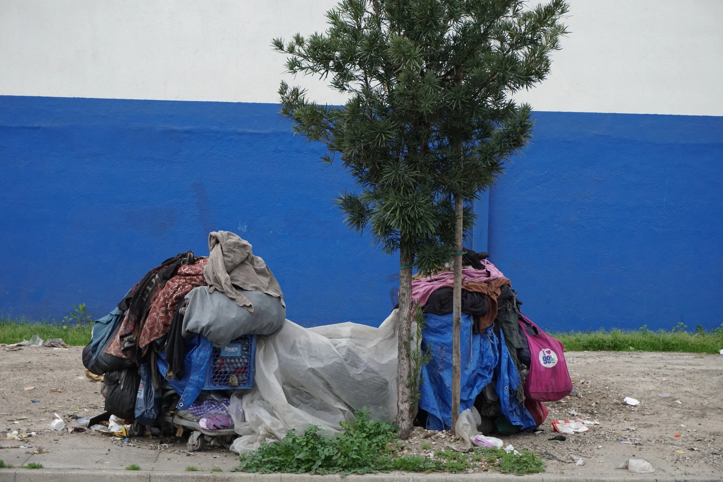 Tarp Life 127